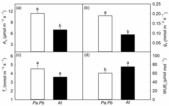 【m】 Recent advances, challenges, and perspective of copper‐based