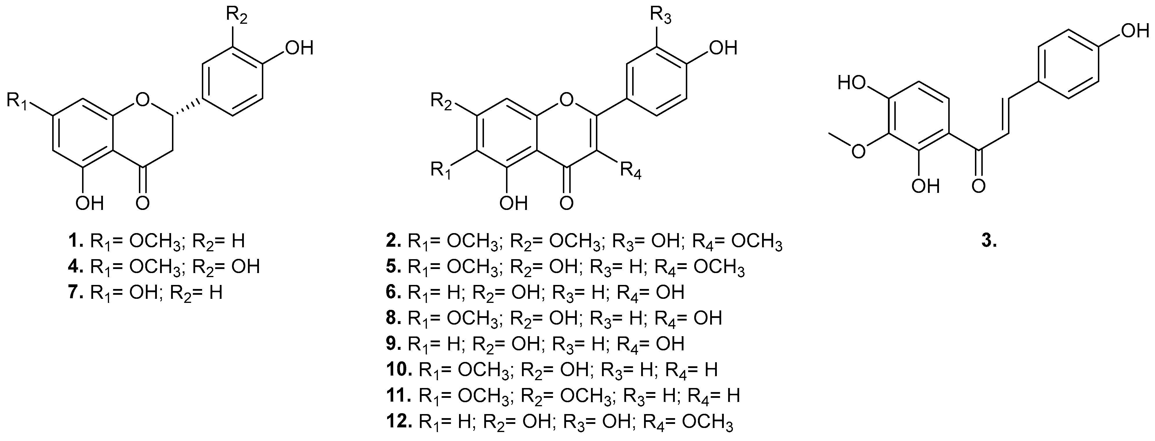 Plants 13 03576 g001