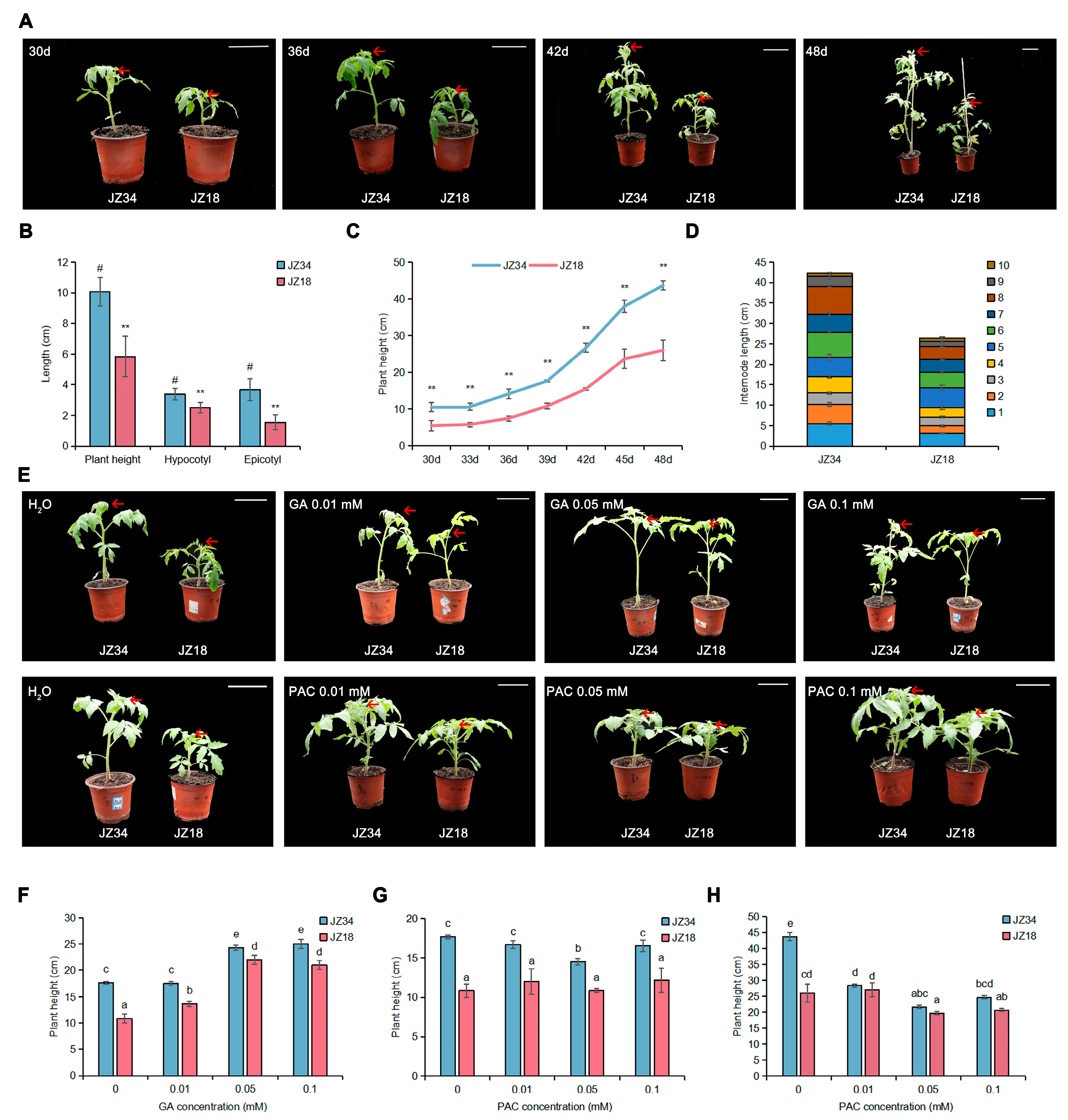 Plants 13 03578 g001