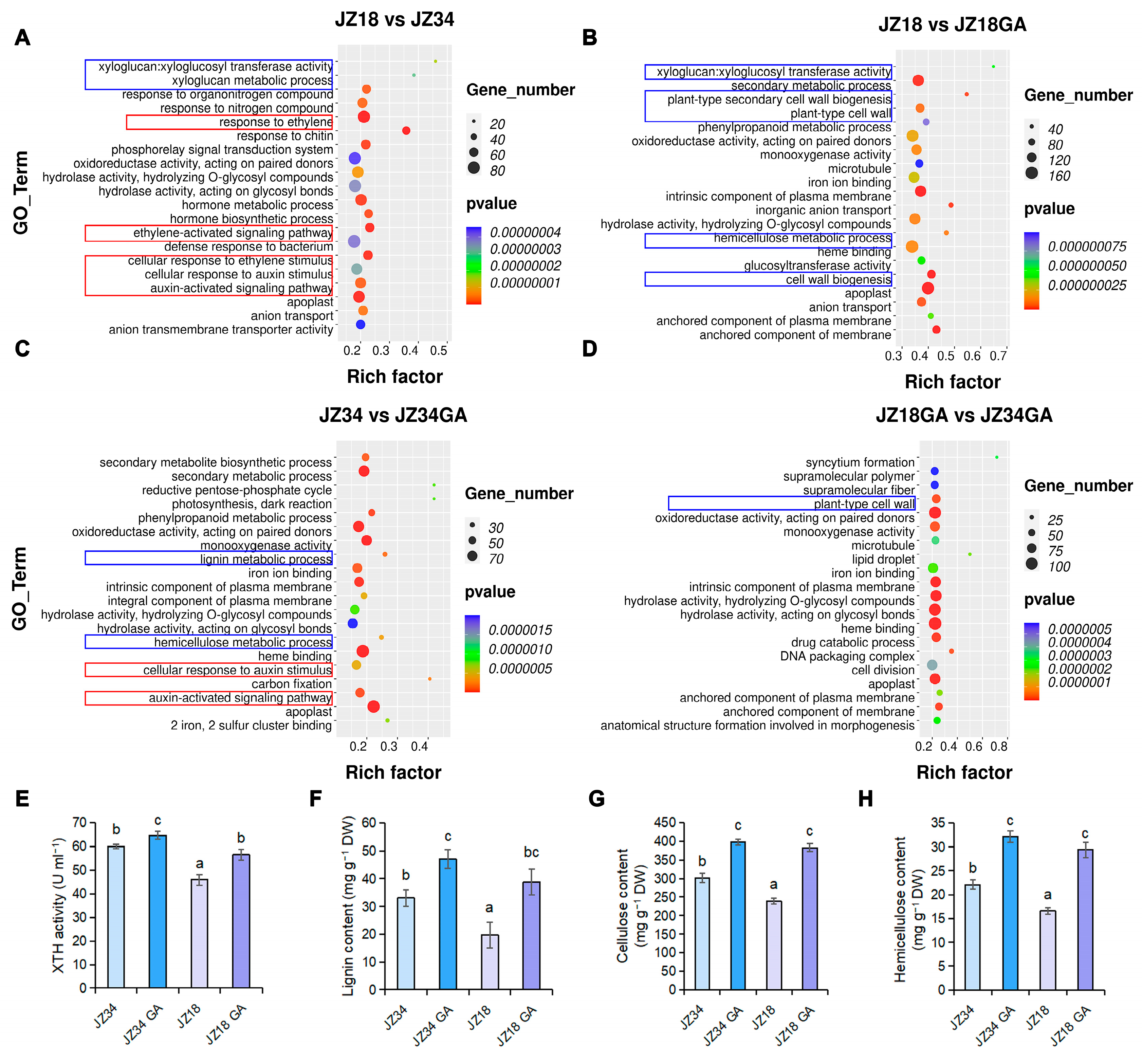 Plants 13 03578 g002