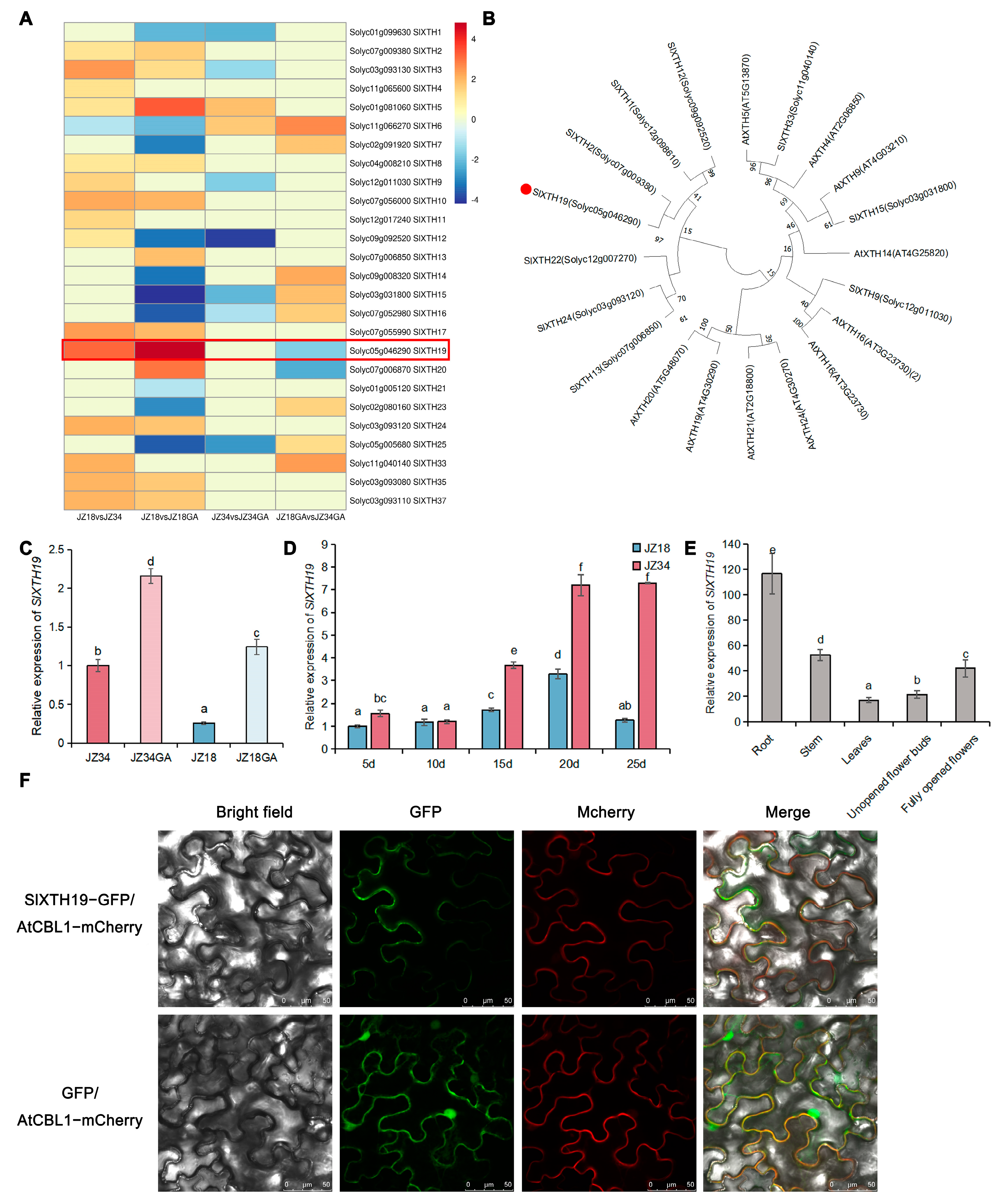 Plants 13 03578 g003