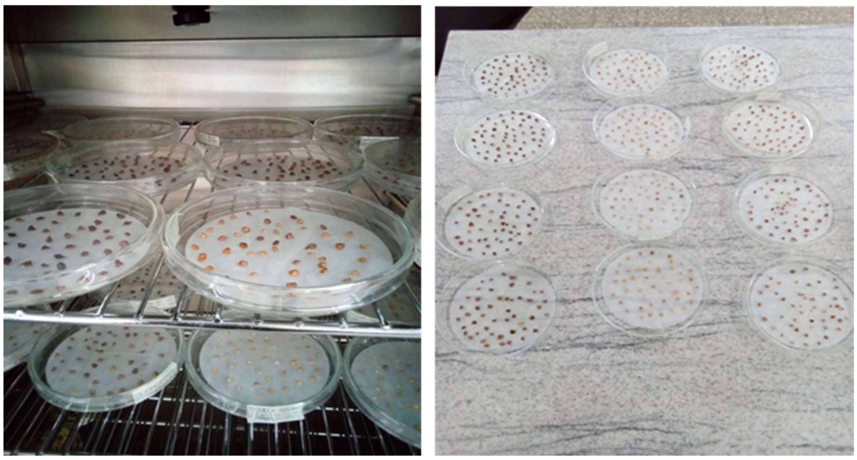 Plants 13 03581 g009