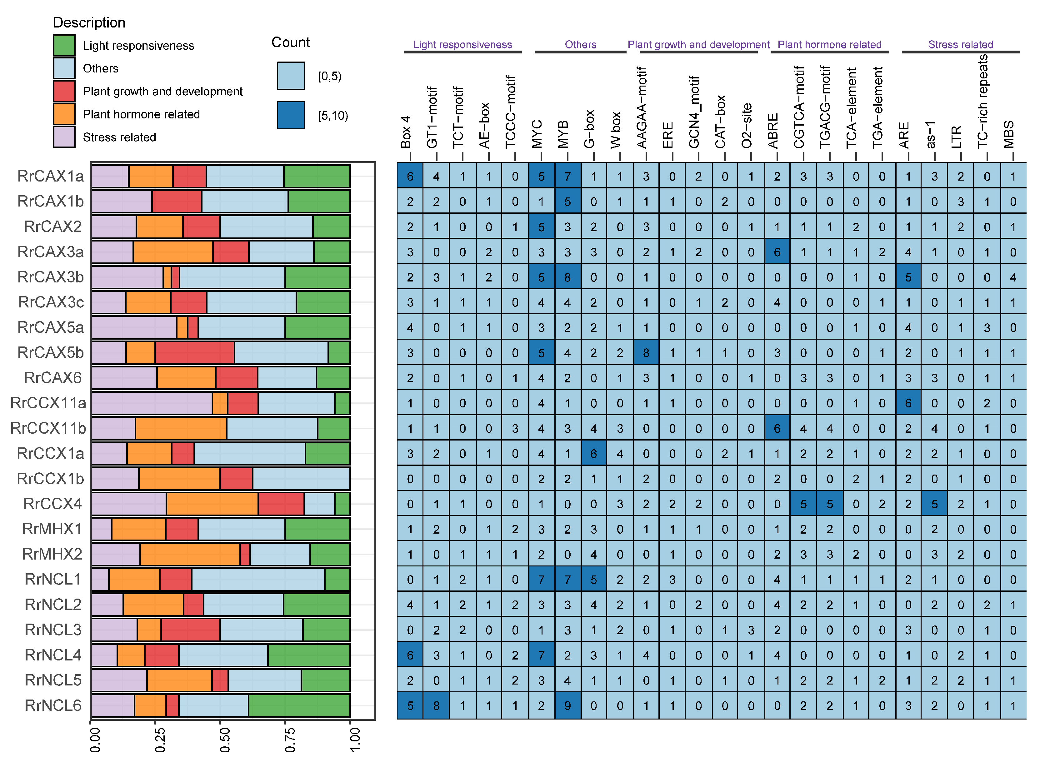 Plants 13 03582 g006