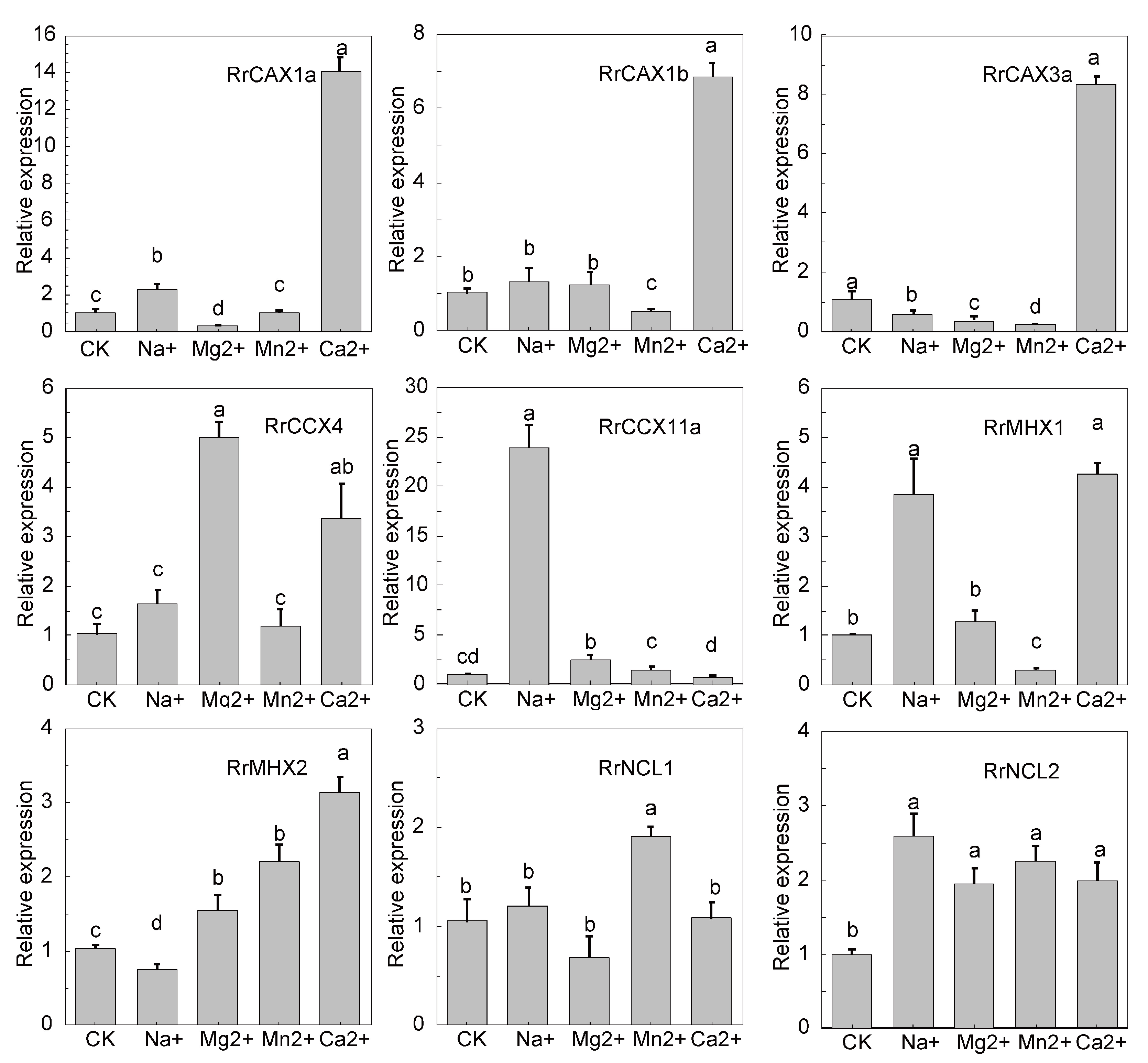 Plants 13 03582 g007