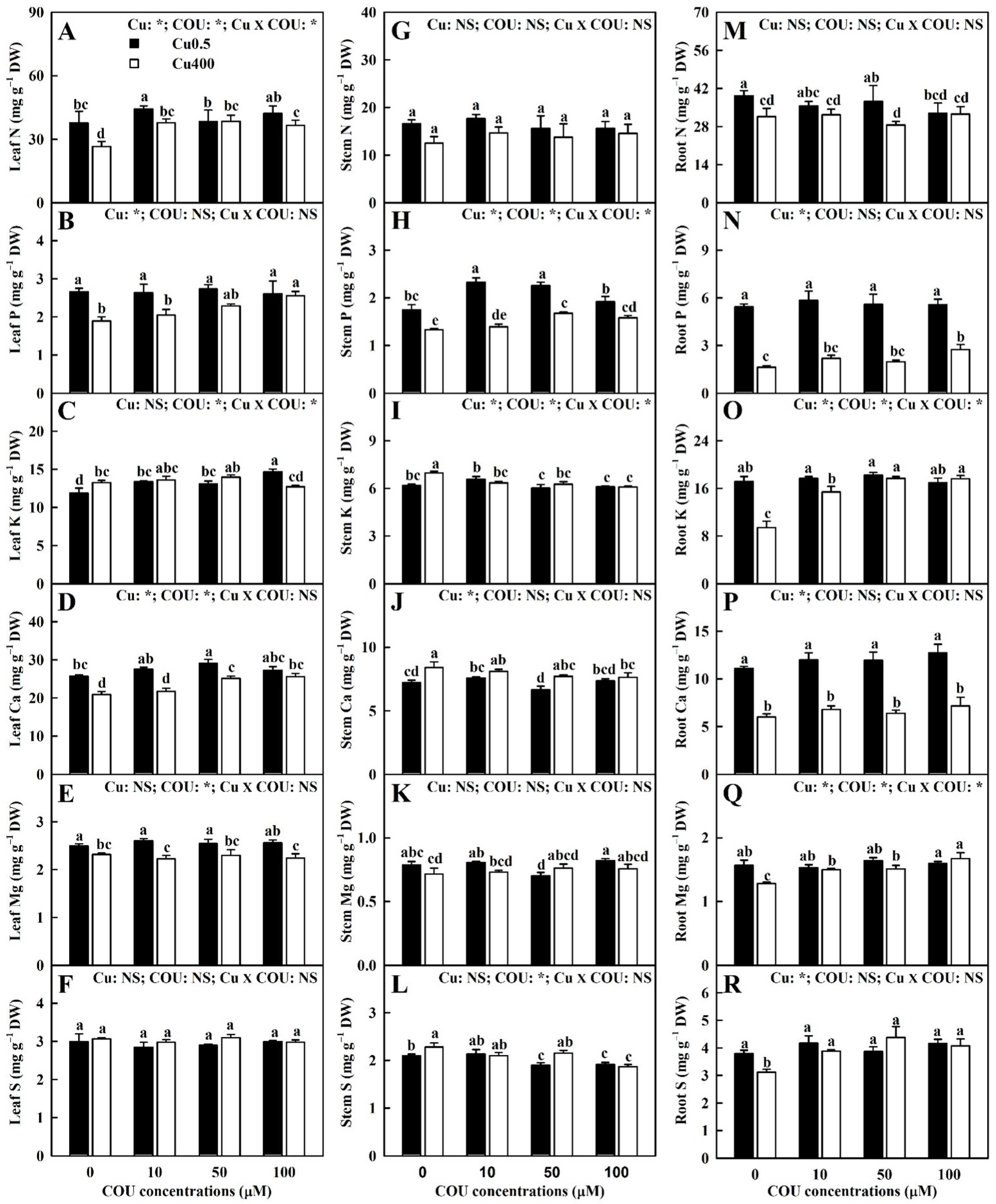 Plants 13 03584 g003