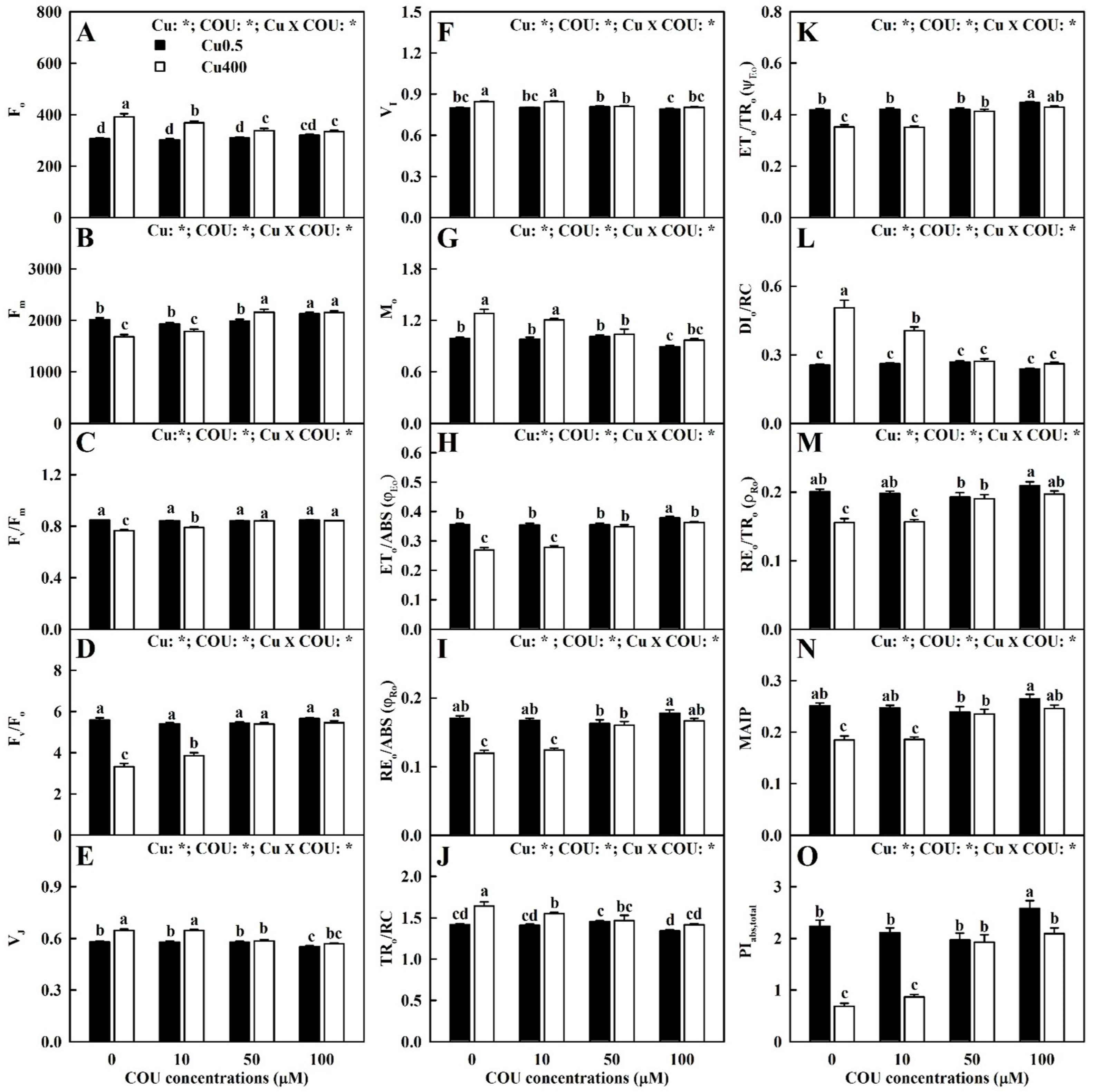 Plants 13 03584 g008
