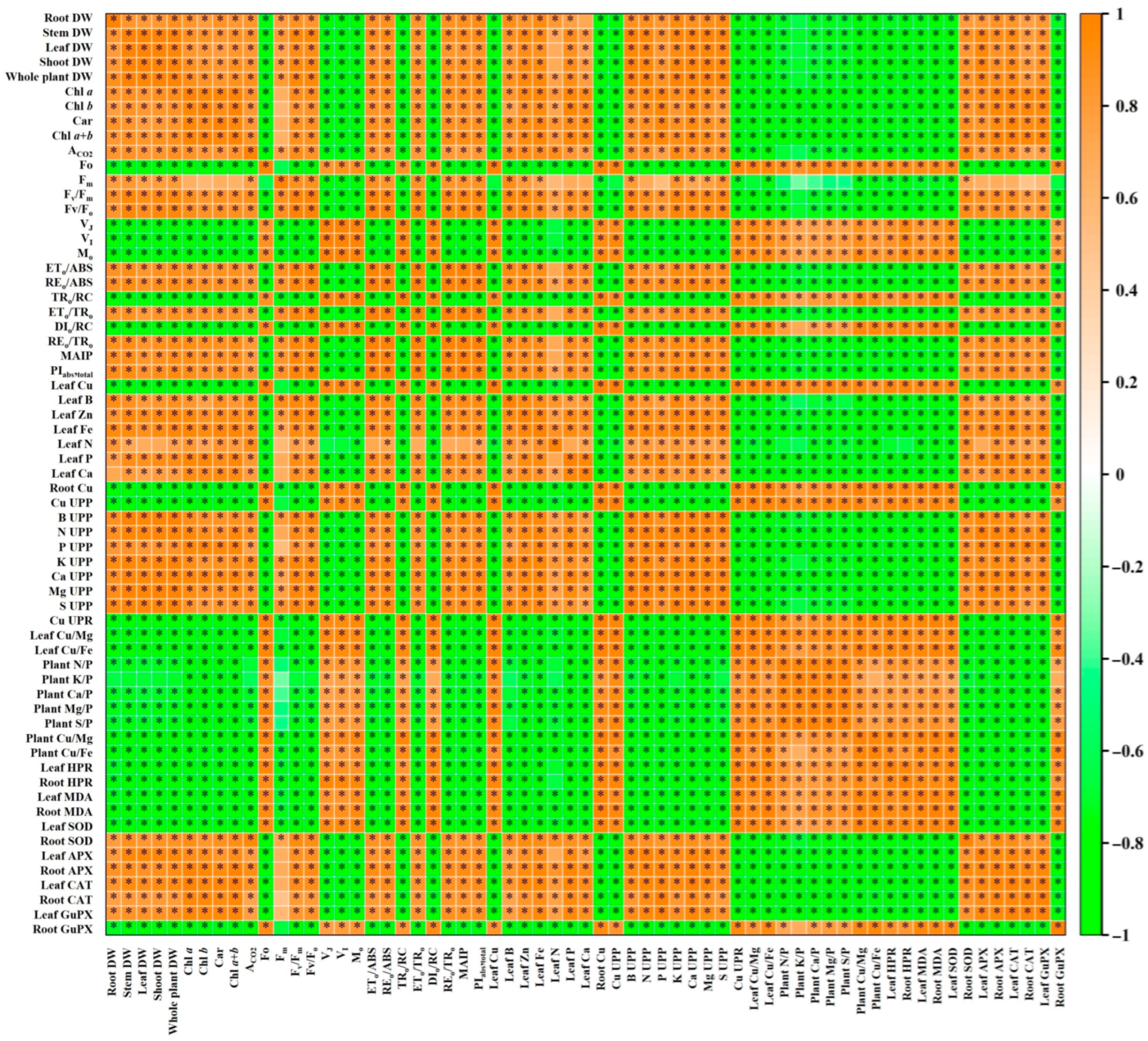 Plants 13 03584 g011