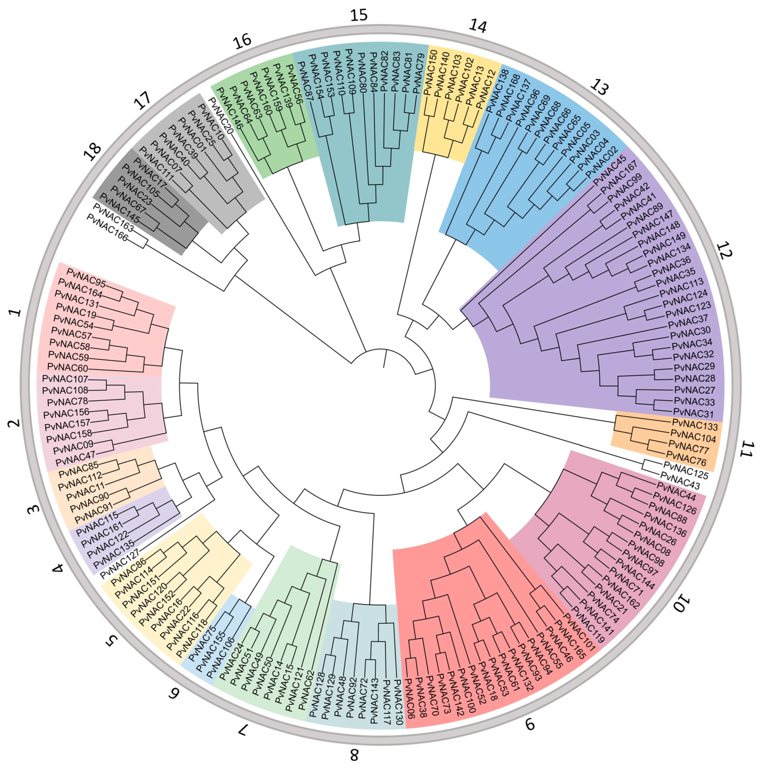 Plants 13 03595 g001