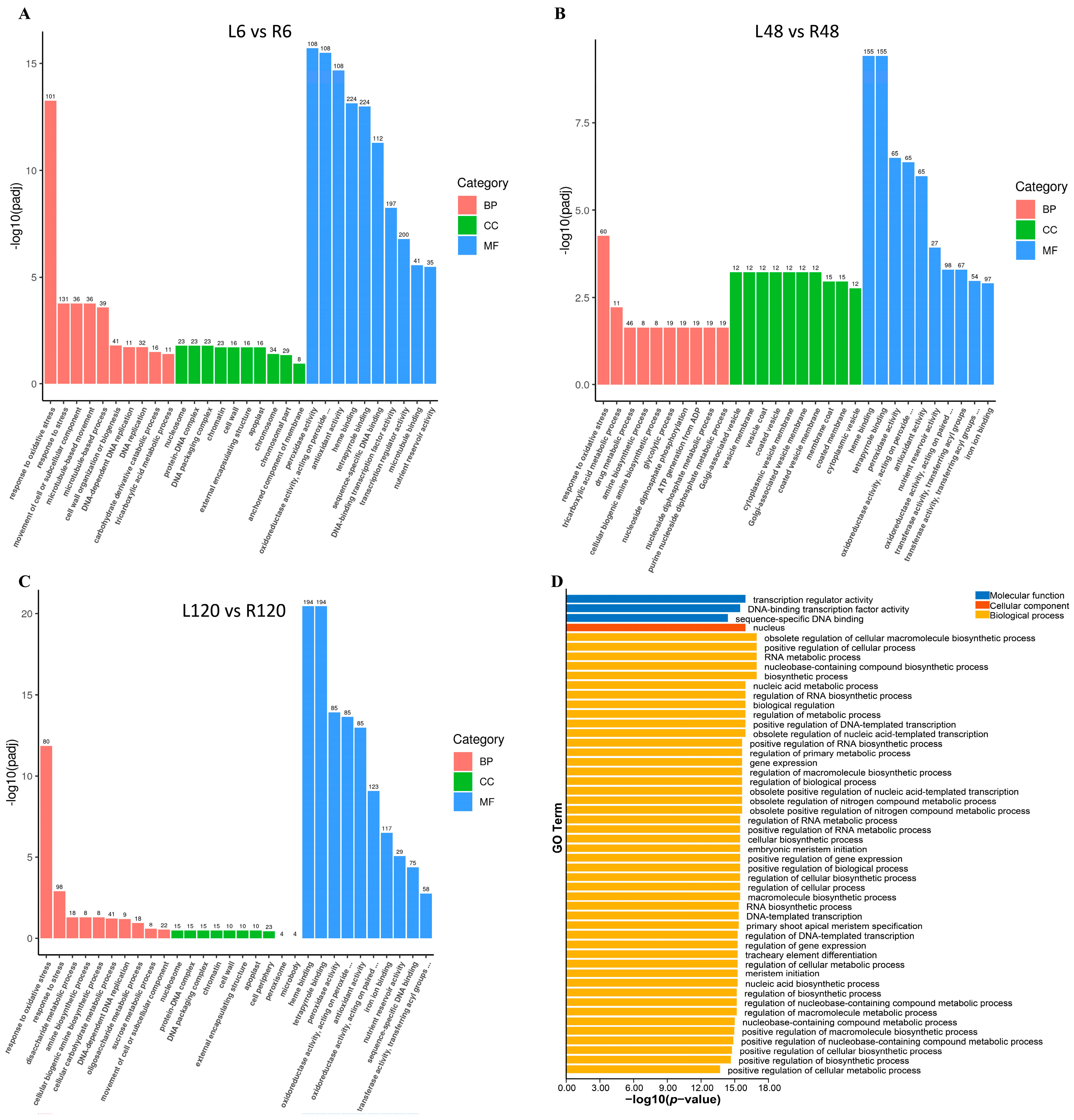 Plants 13 03595 g003
