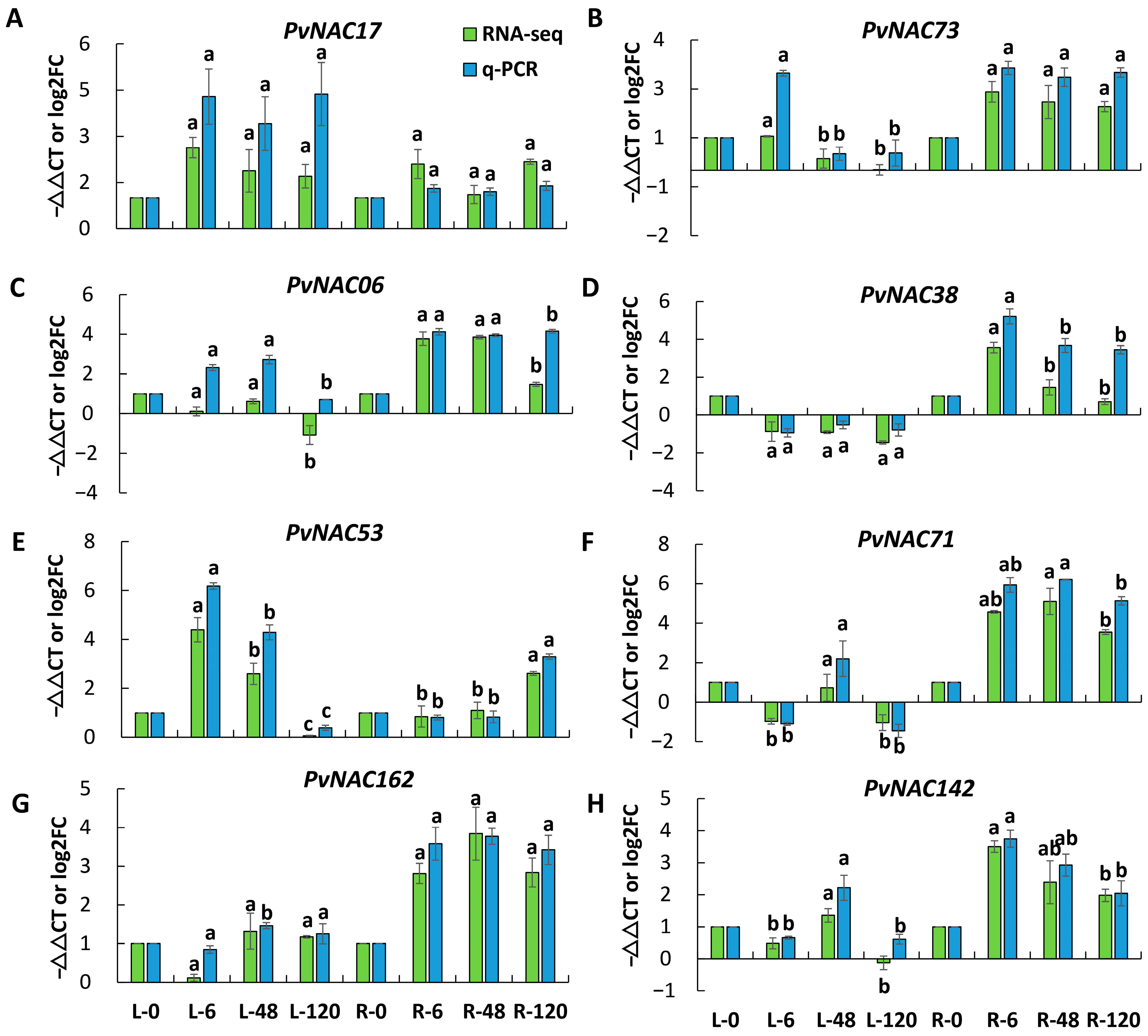 Plants 13 03595 g005