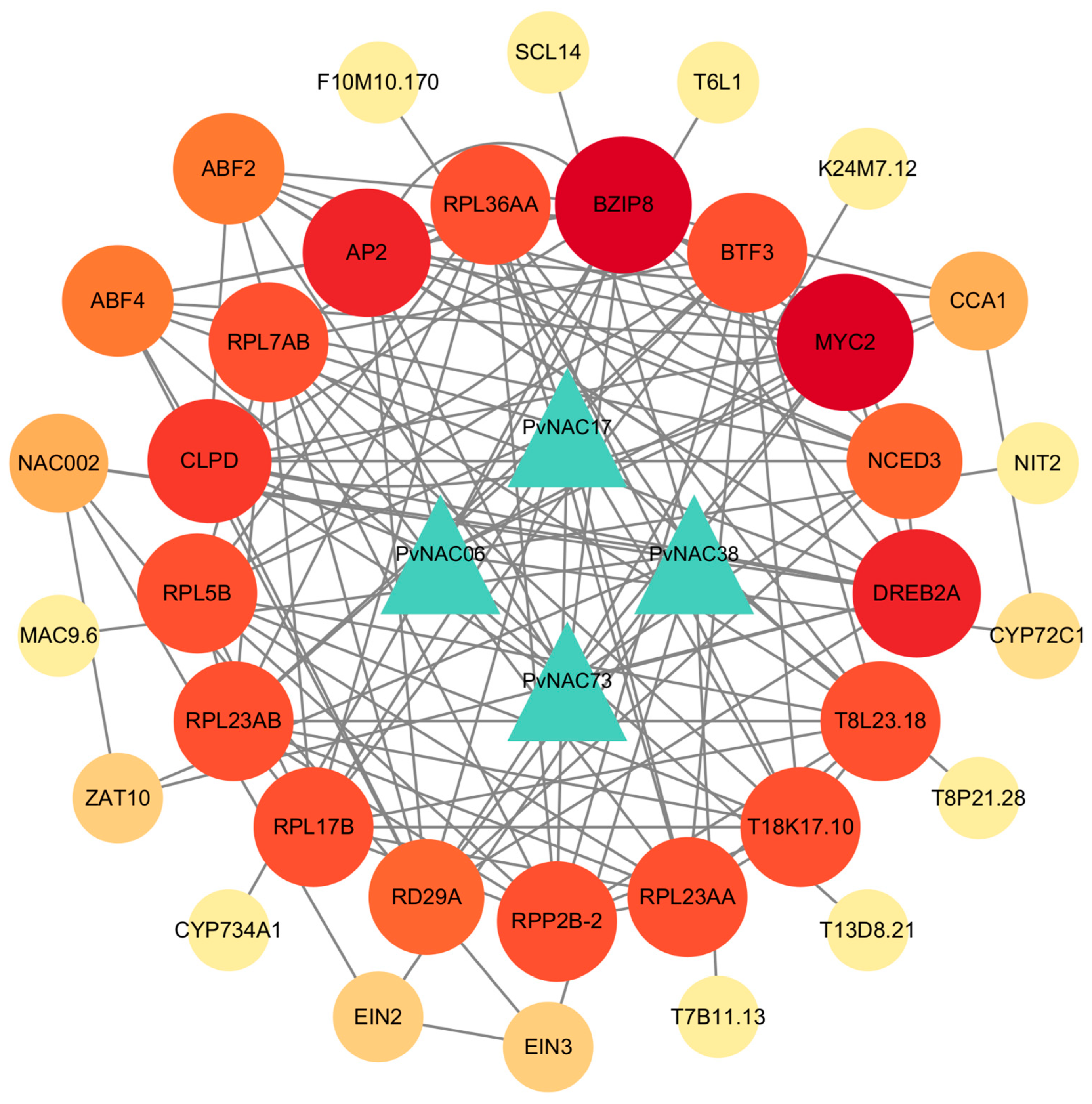 Plants 13 03595 g006