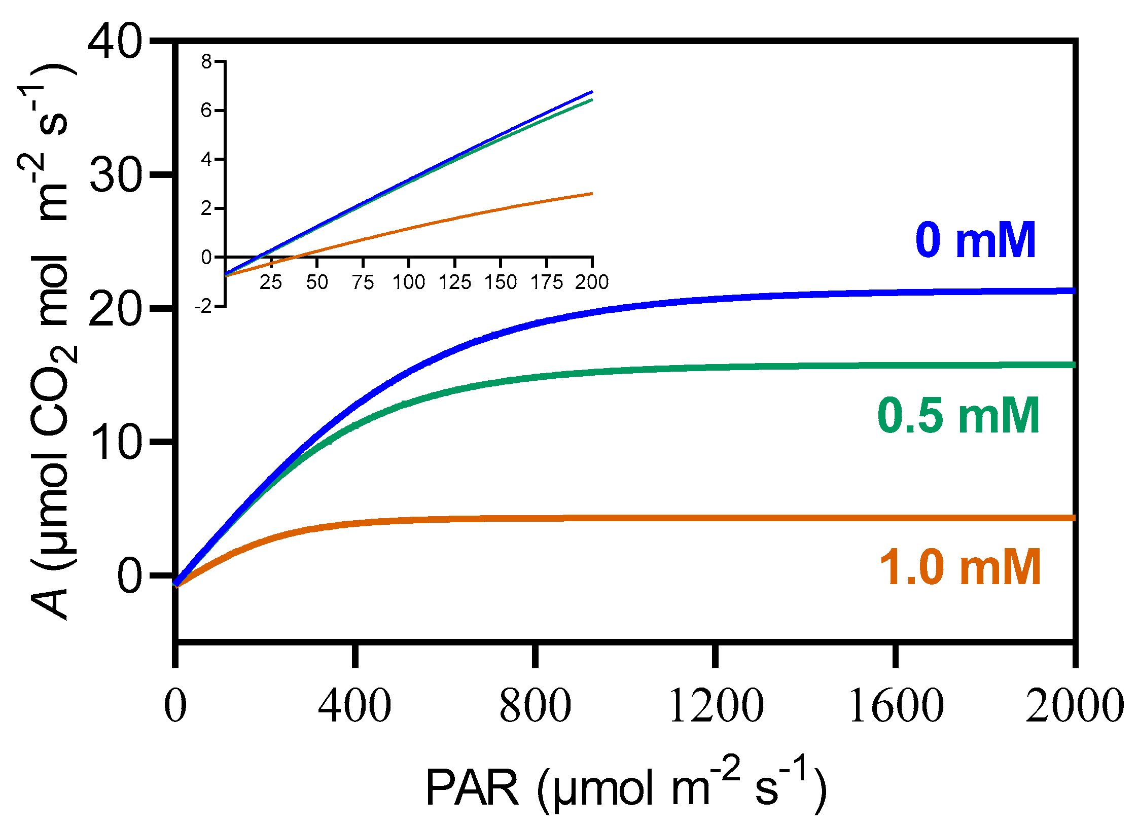 Plants 14 00001 g004