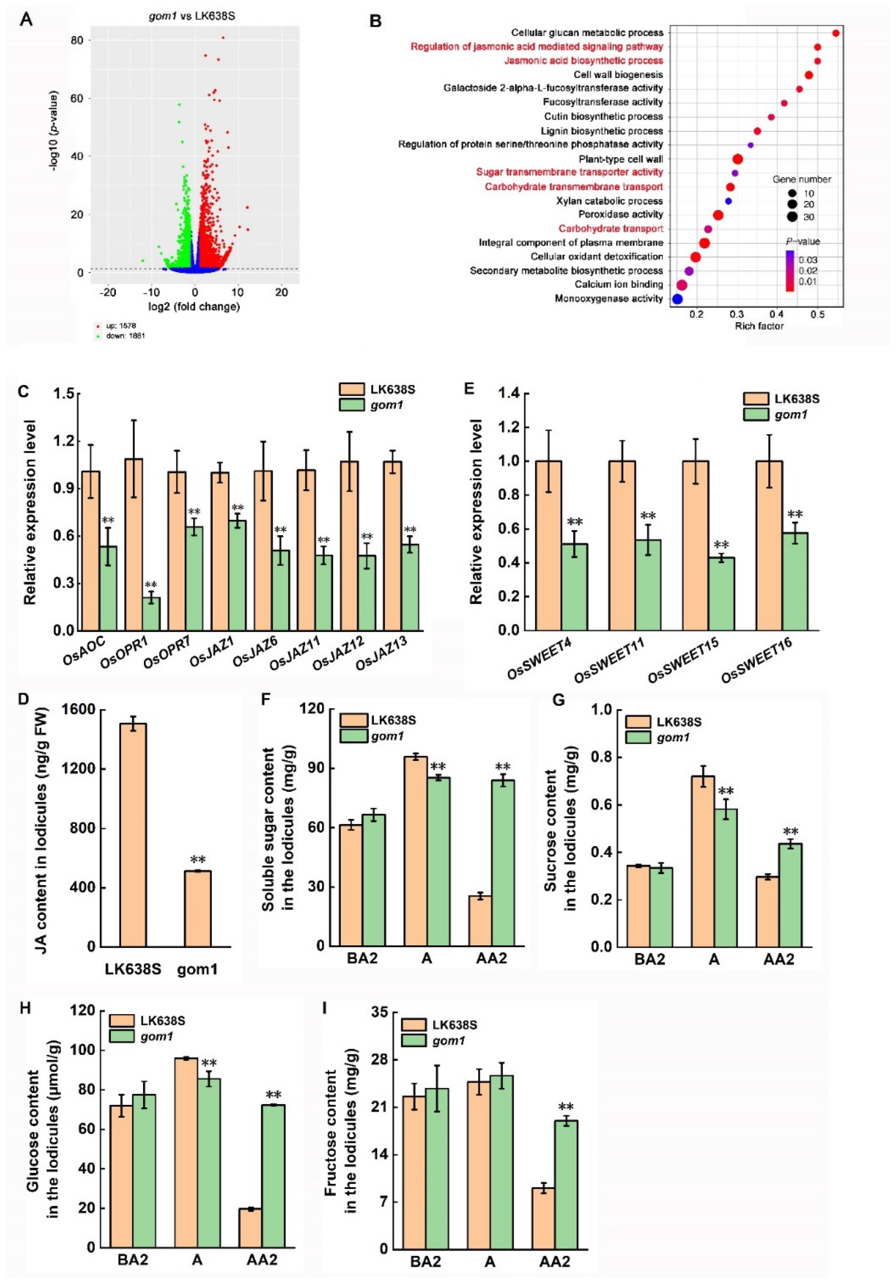 Plants 14 00005 g006