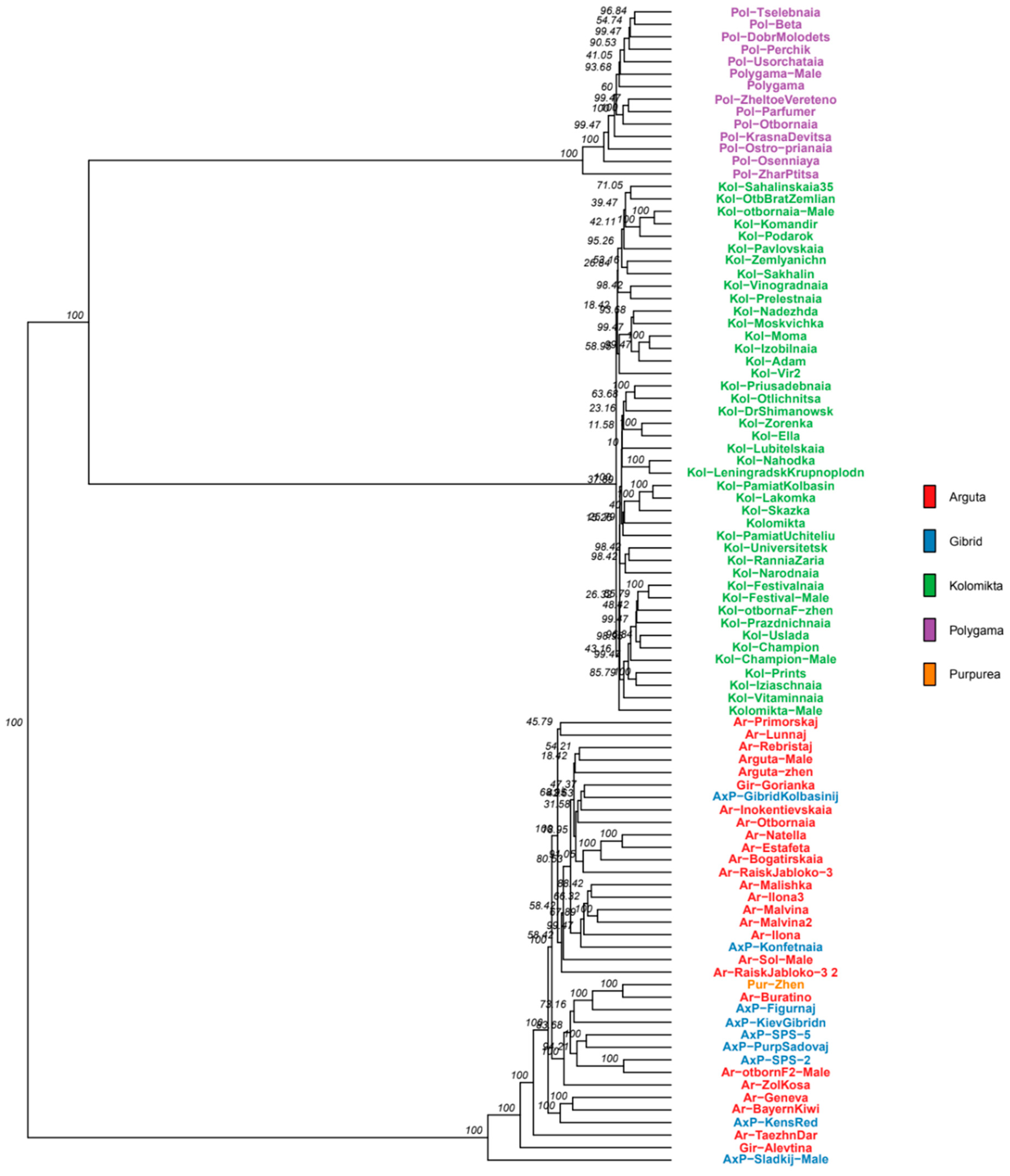 Plants 14 00007 g002