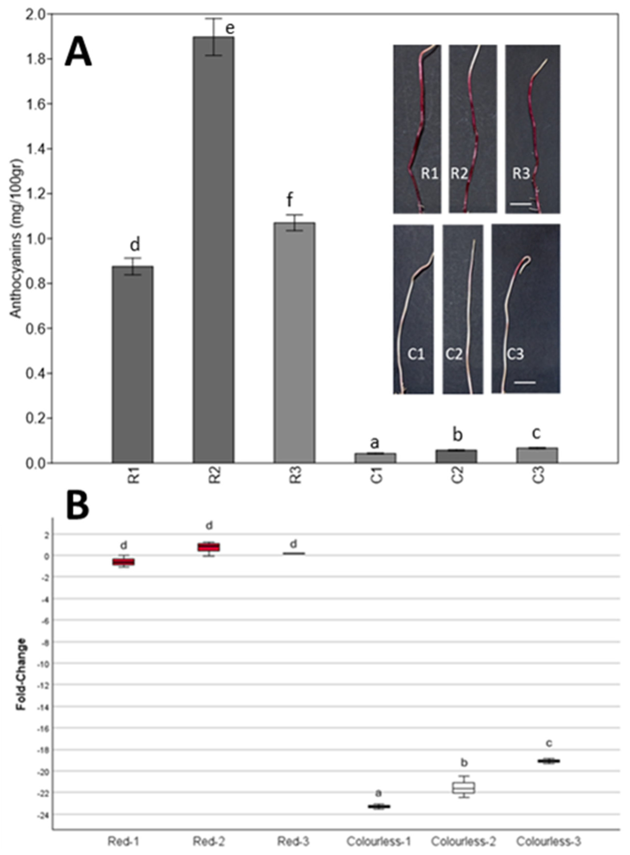 Plants 14 00011 g003