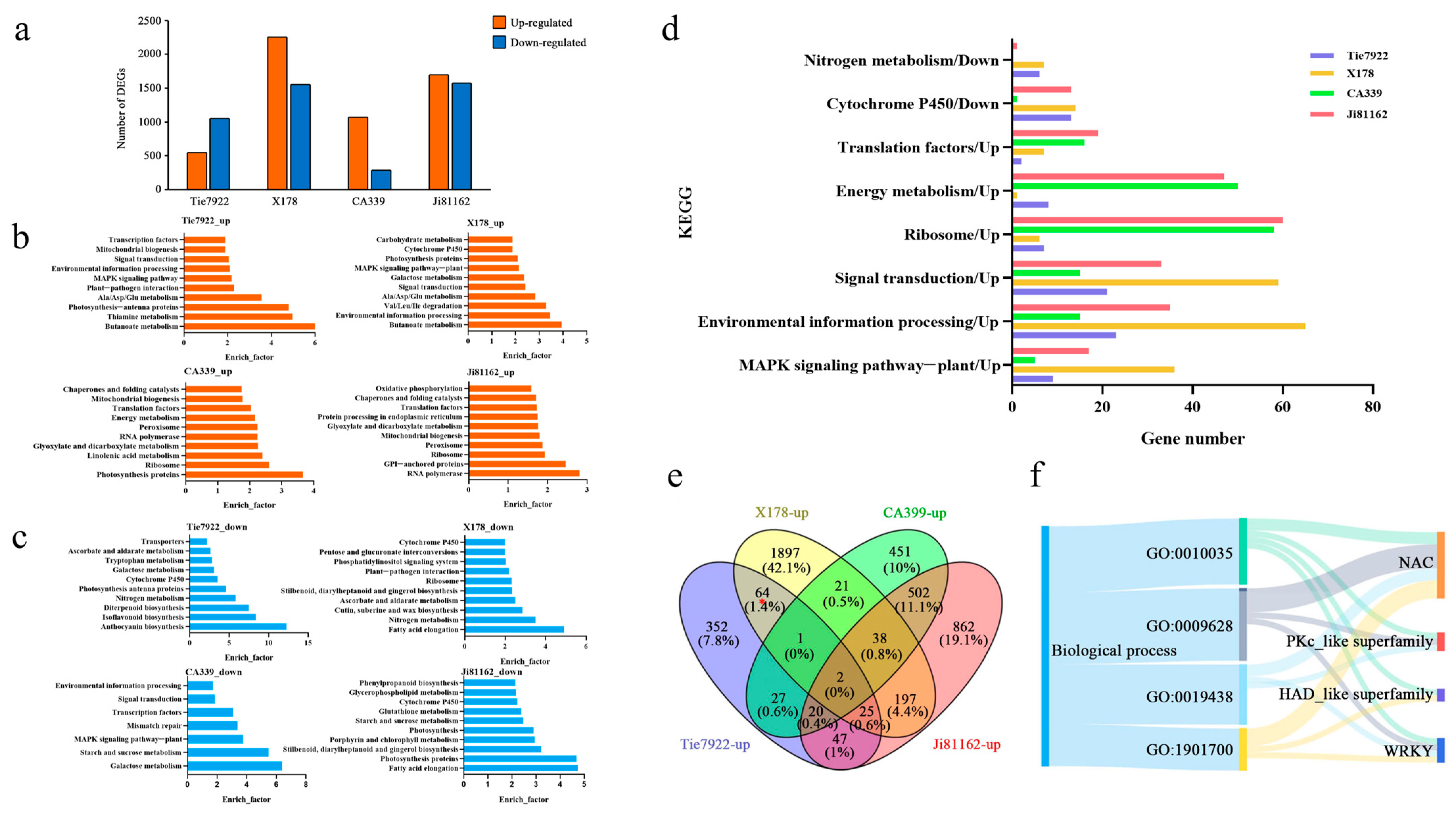 Plants 14 00012 g001