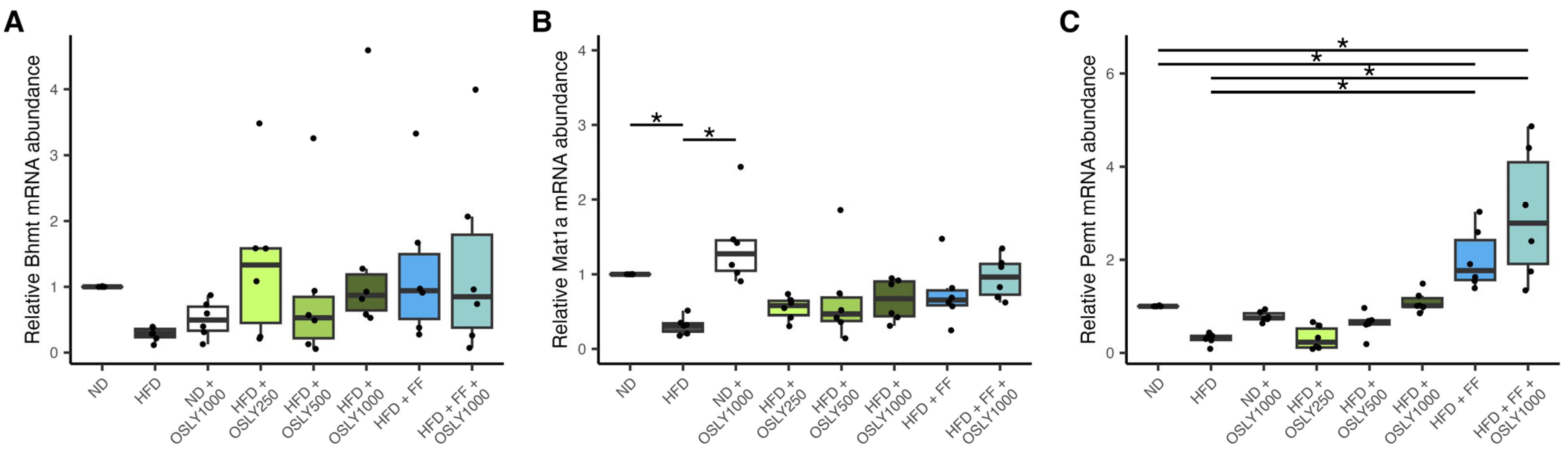 Plants 14 00013 g004