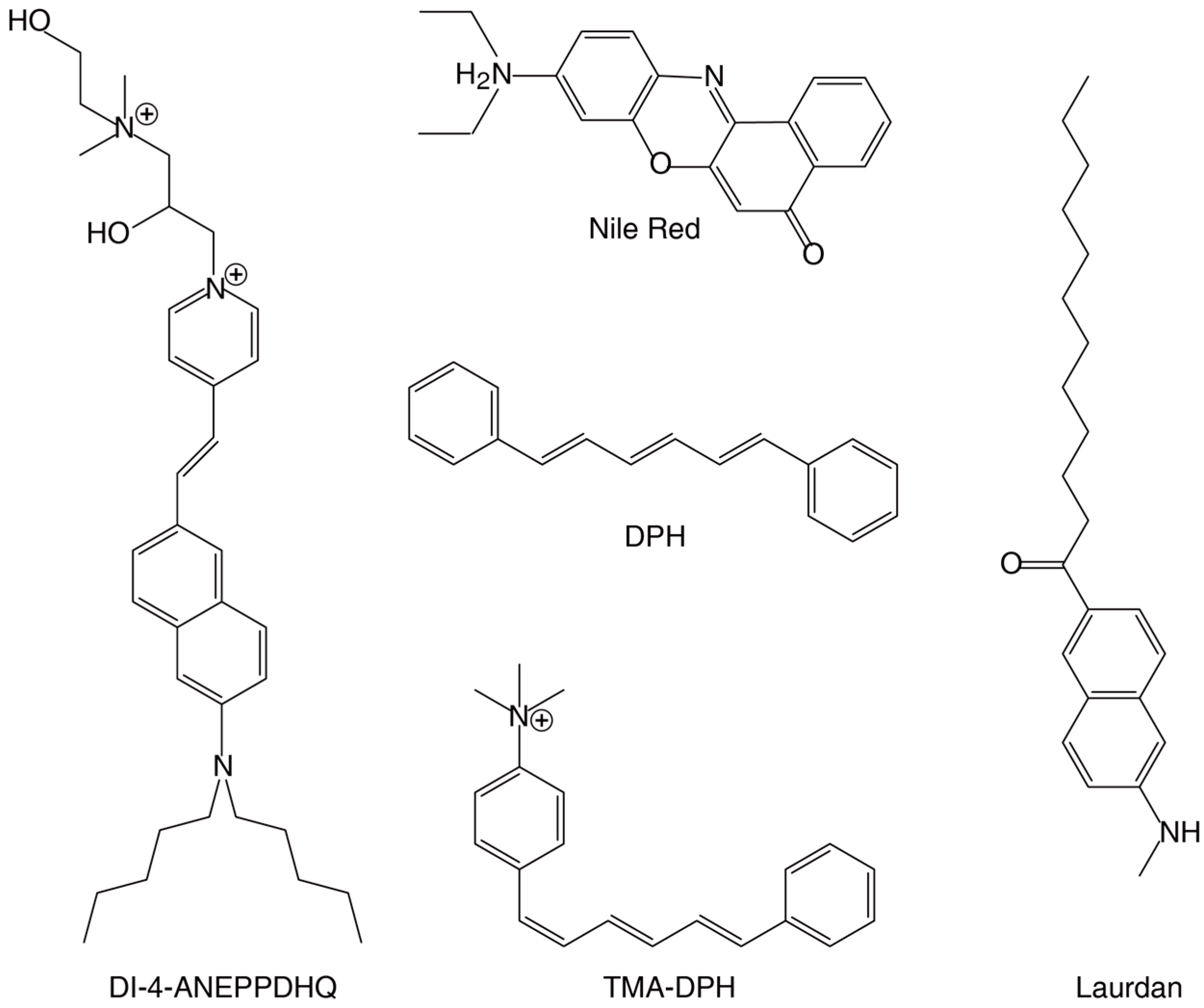 Plants 14 00015 g001