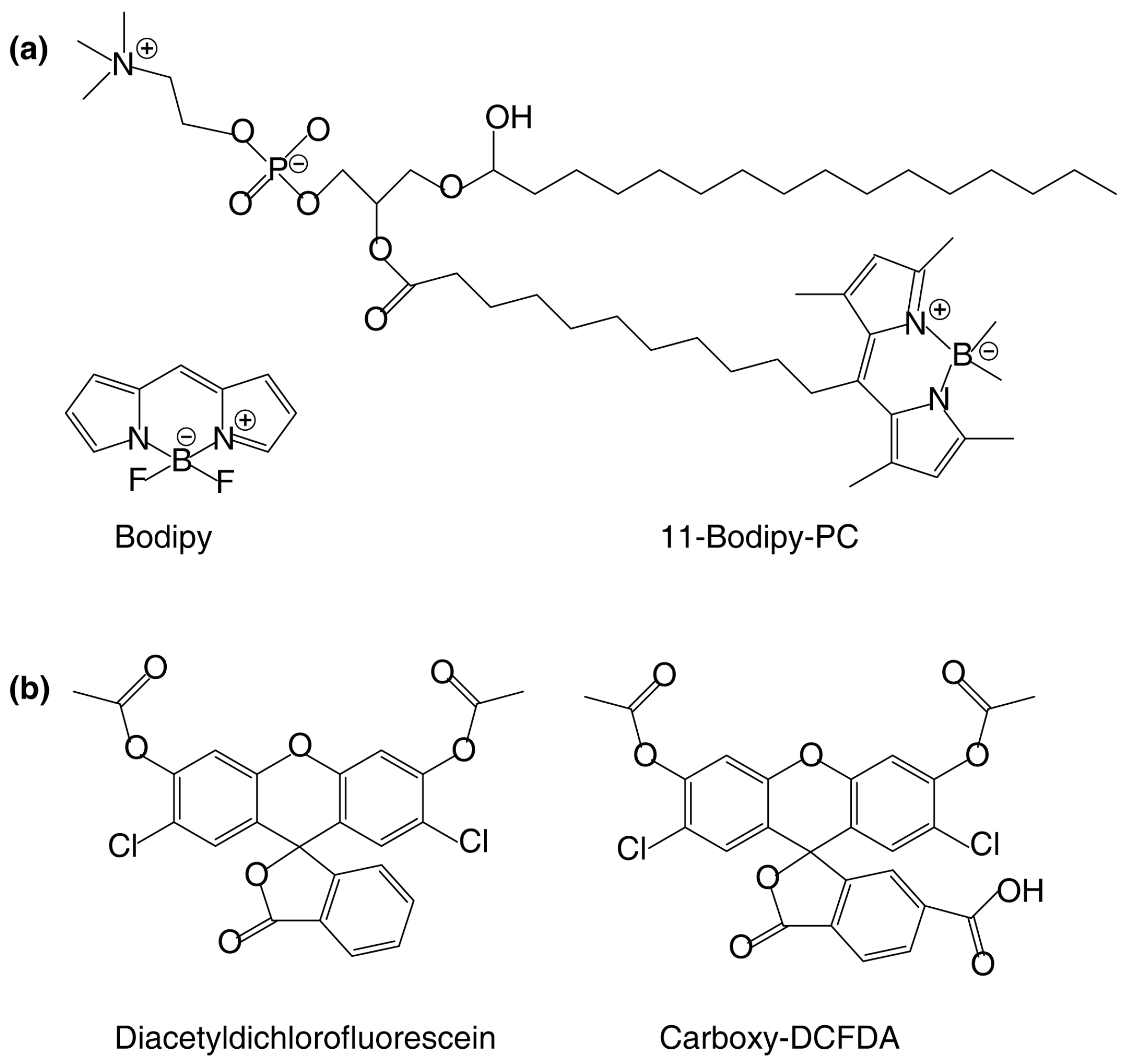 Plants 14 00015 g002