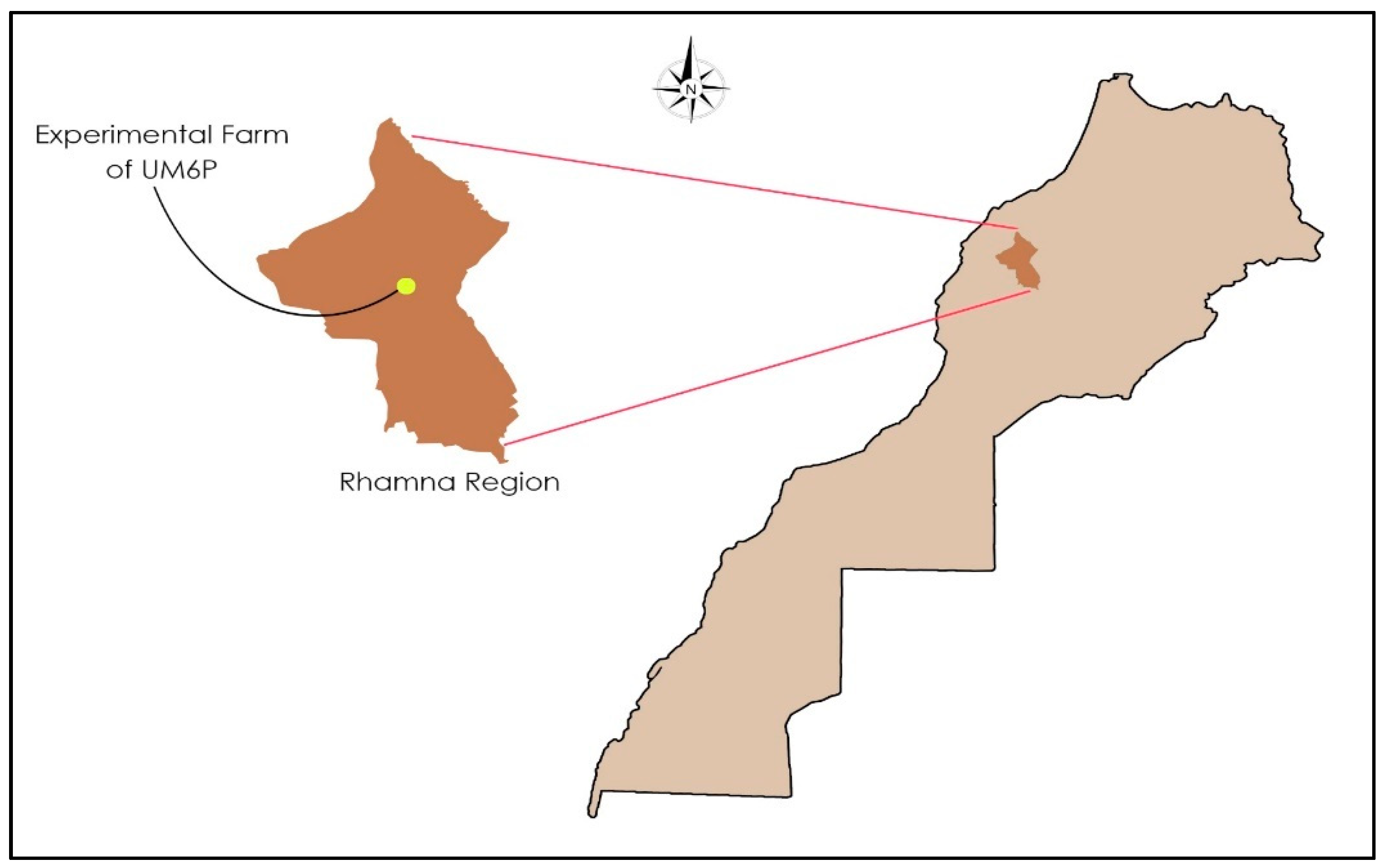 Plants 14 00016 g001