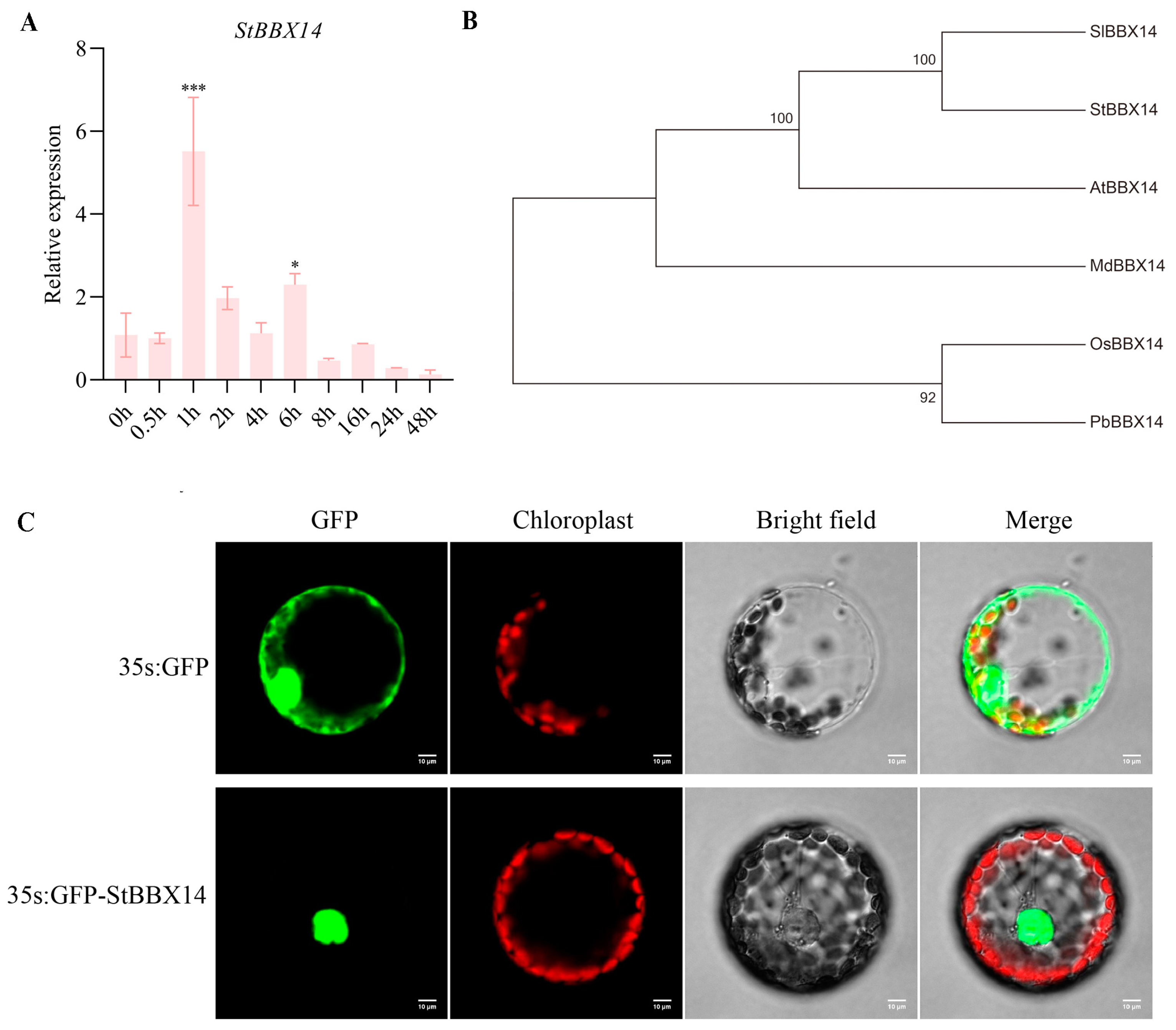 Plants 14 00018 g001