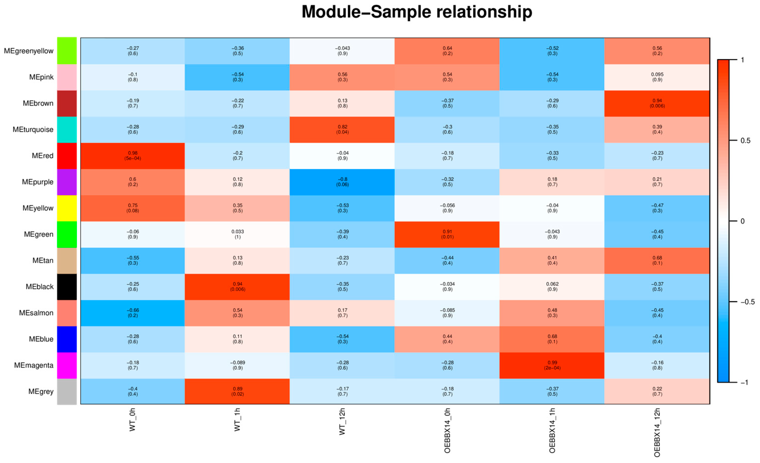 Plants 14 00018 g004