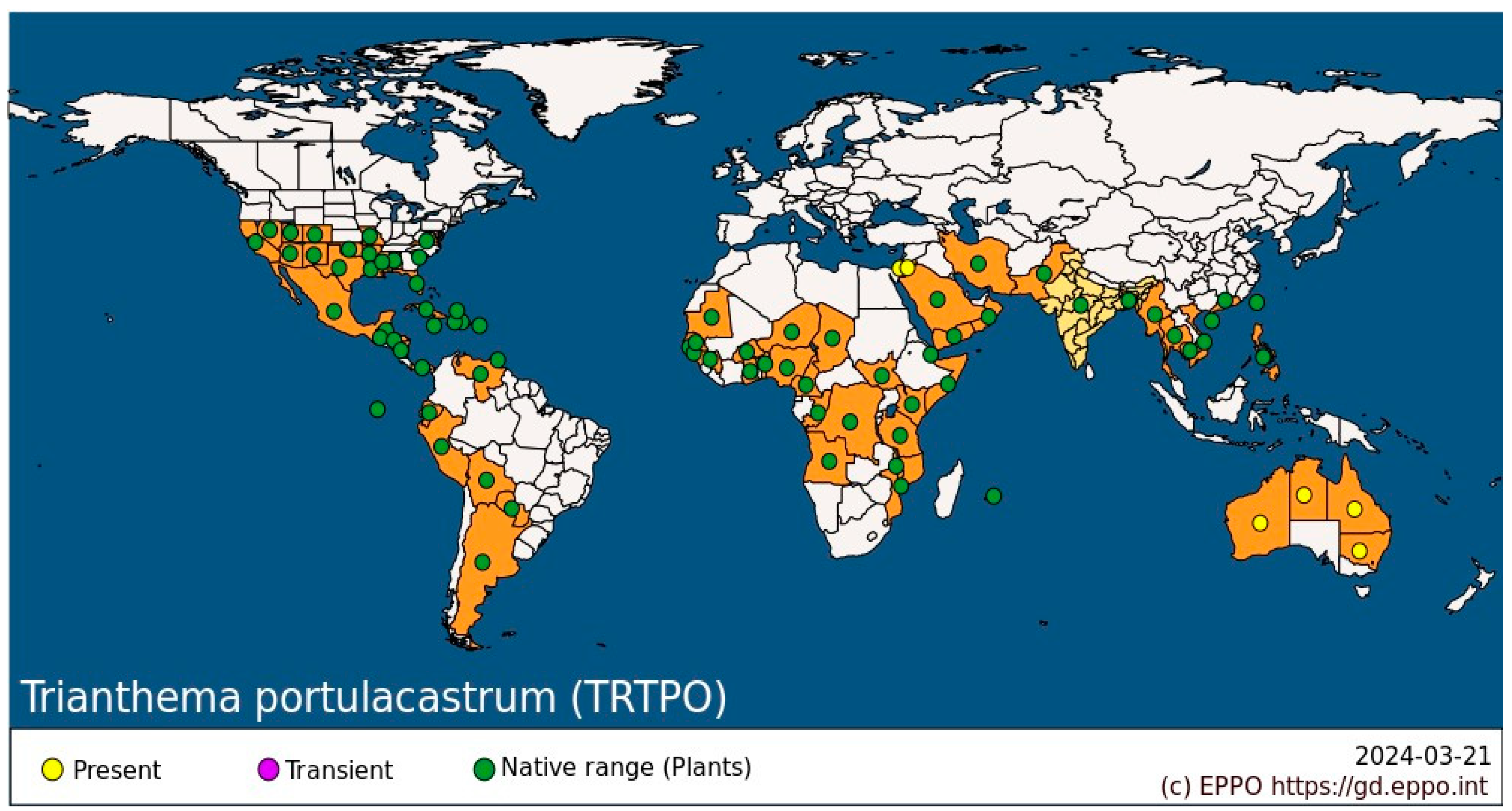 Plants 14 00019 g001