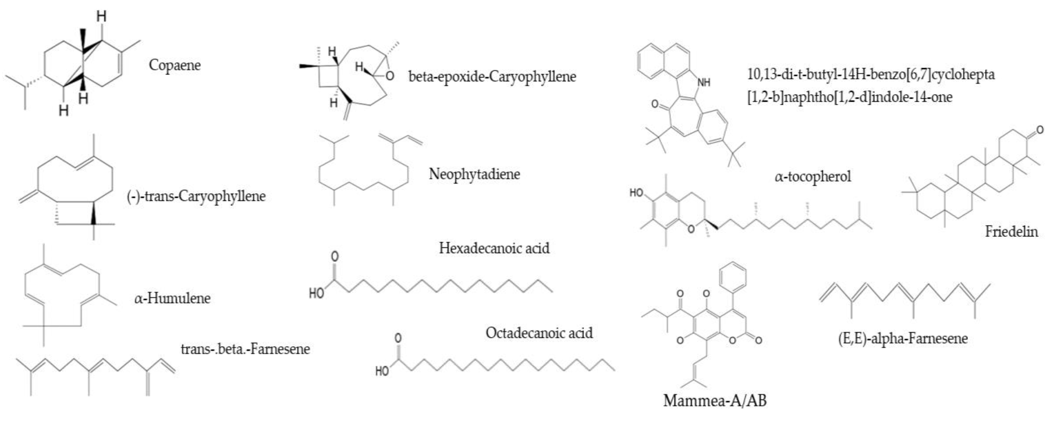 Plants 14 00021 g005