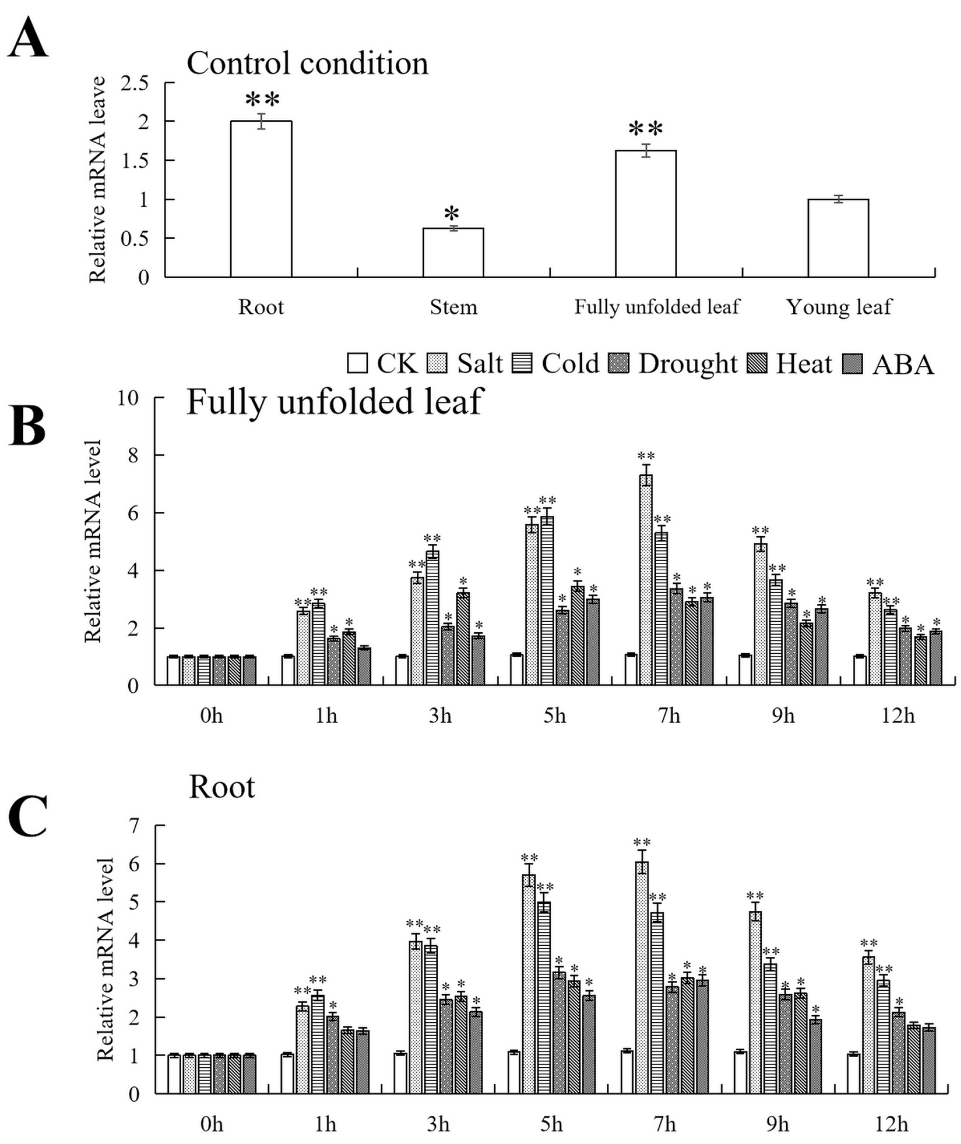 Plants 14 00024 g003
