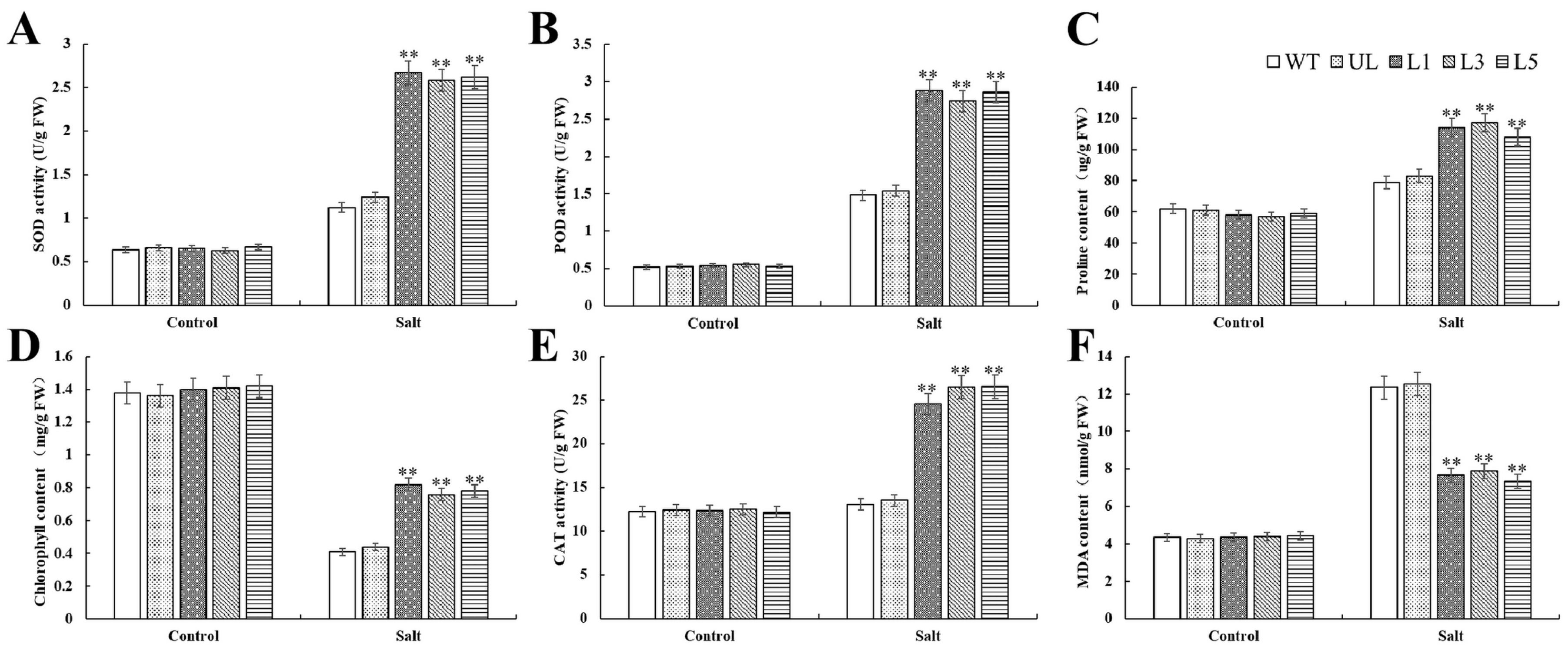 Plants 14 00024 g005