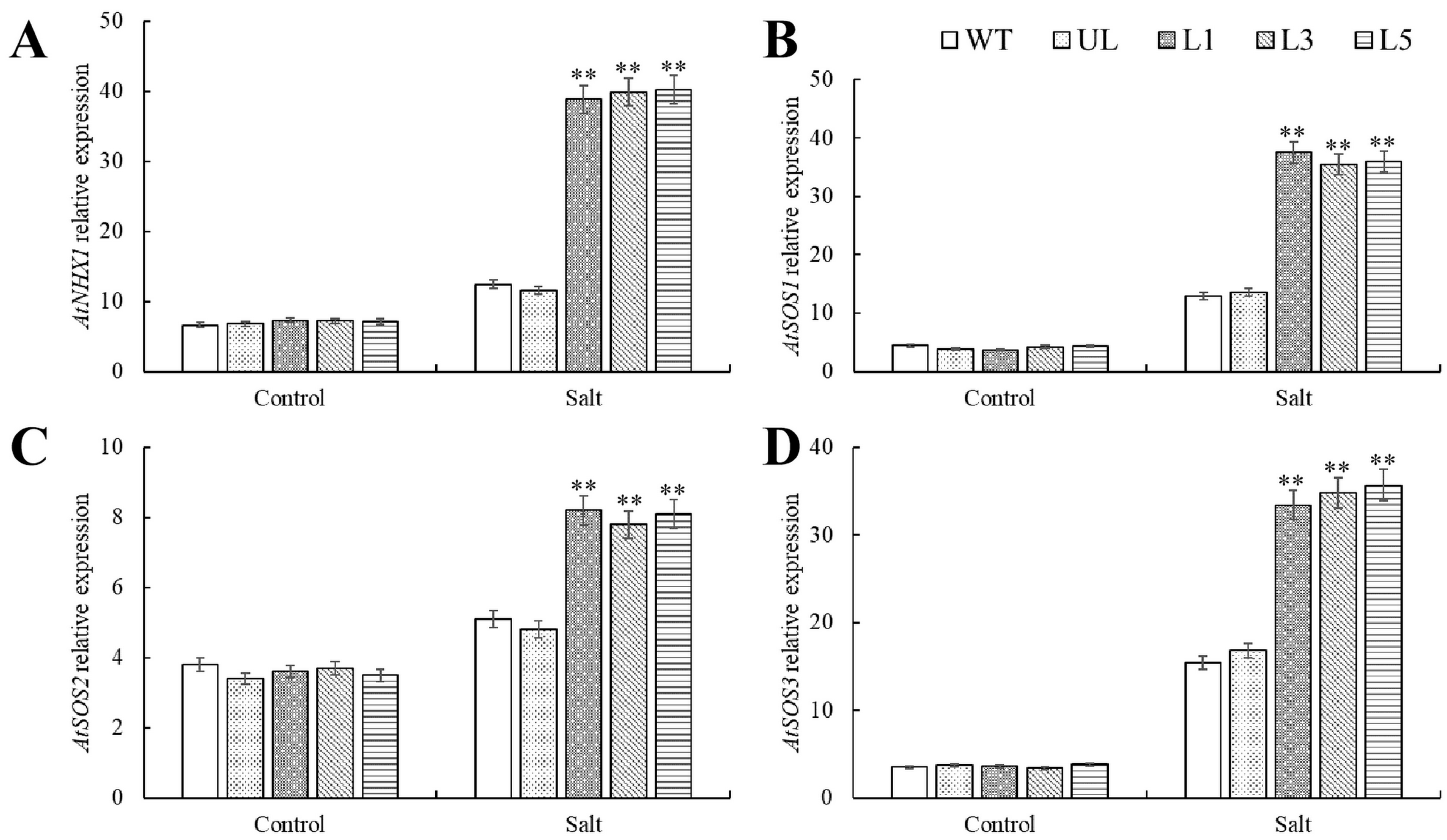 Plants 14 00024 g006
