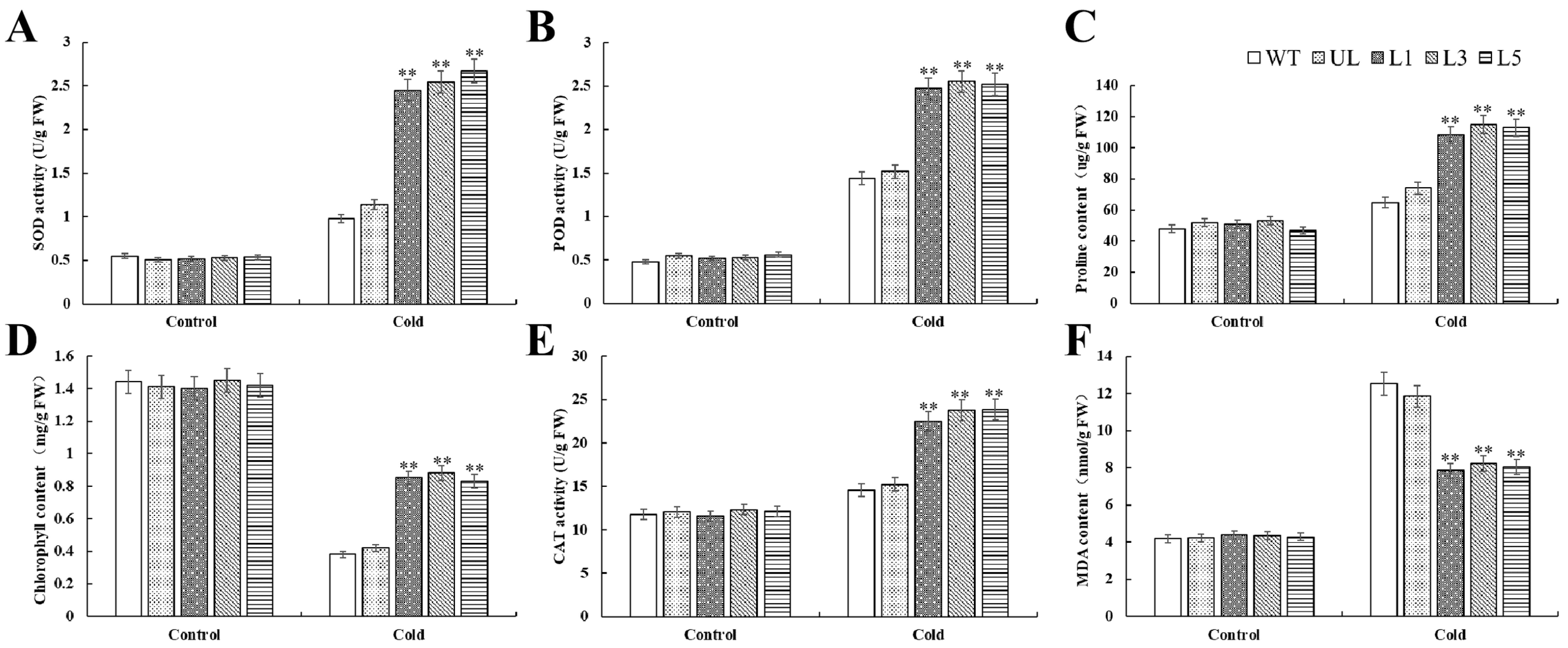 Plants 14 00024 g008