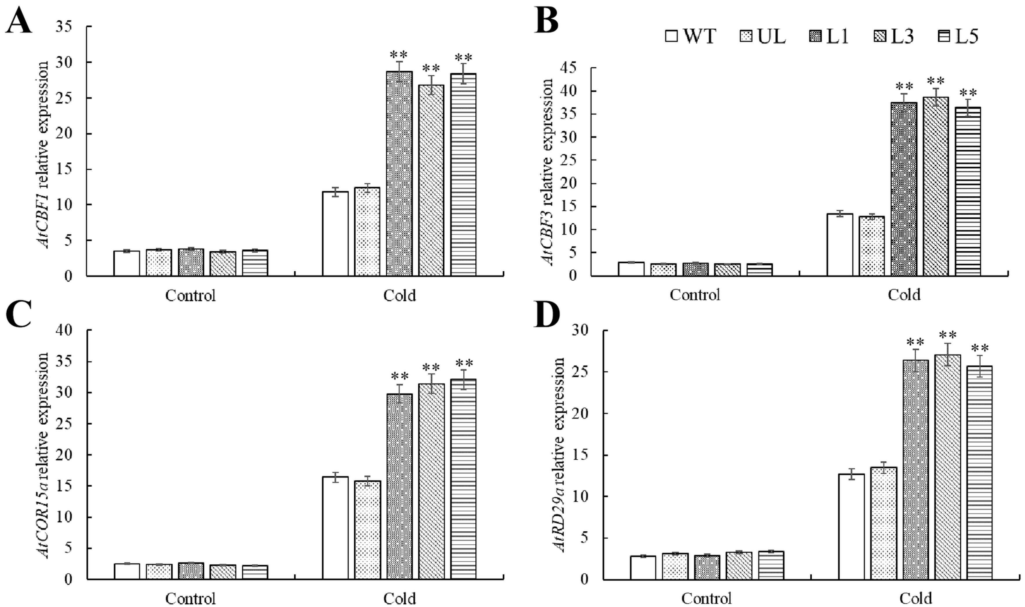 Plants 14 00024 g009