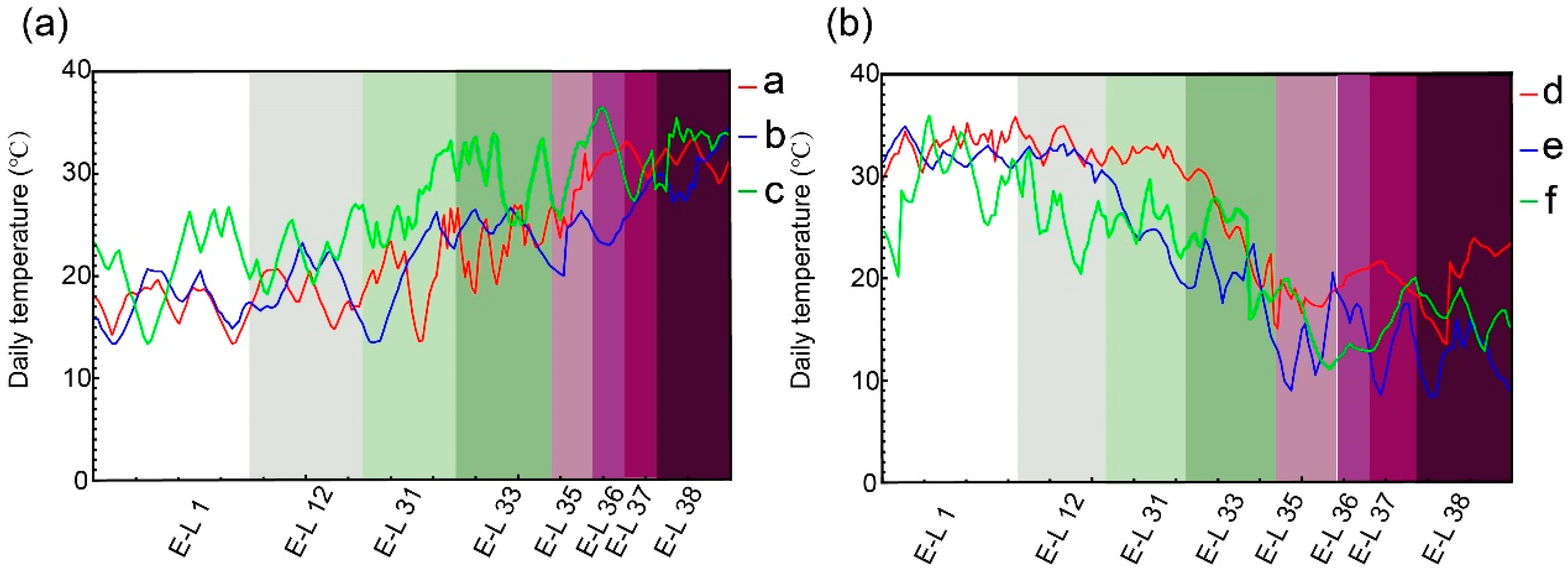 Plants 14 00026 g001