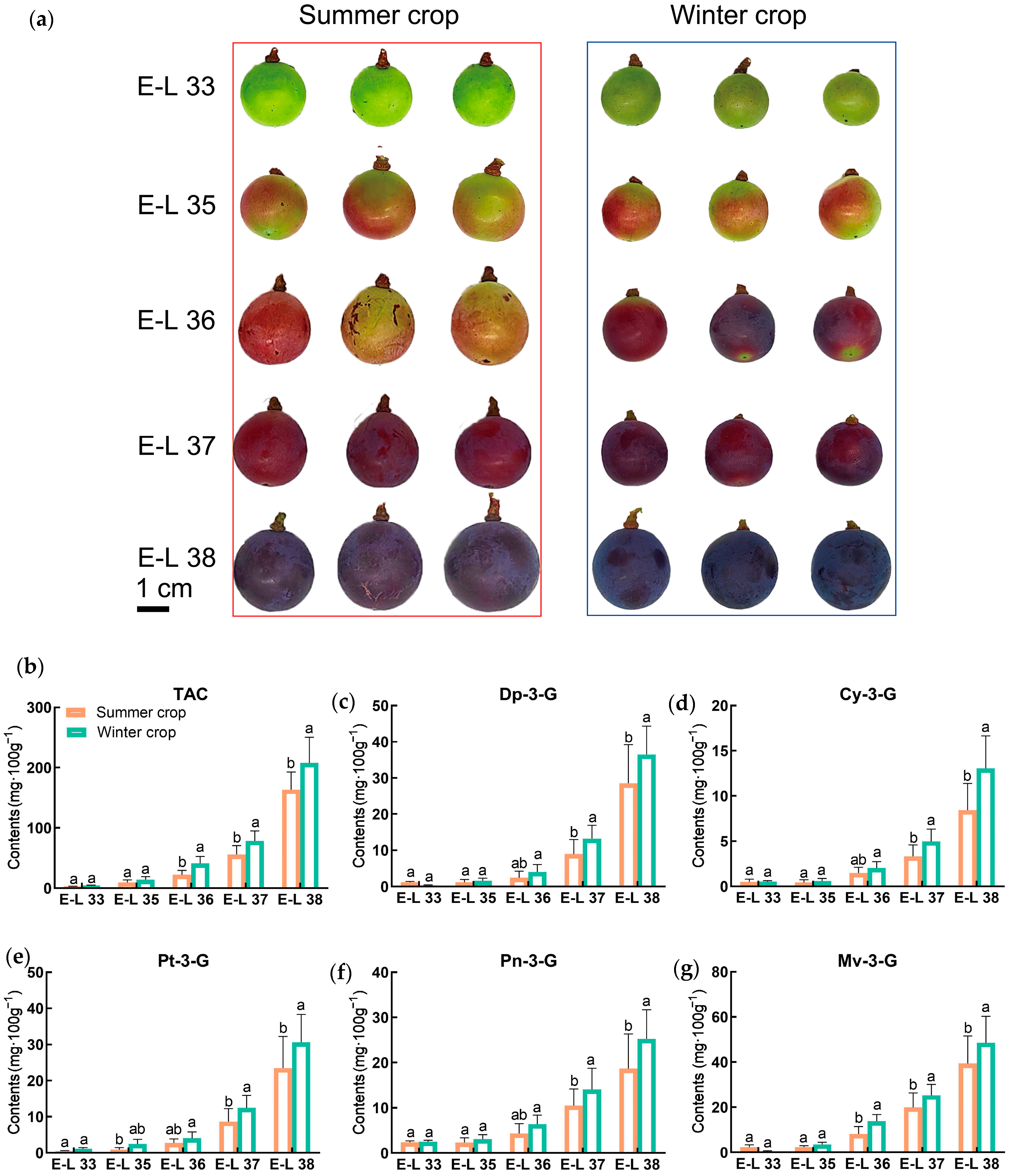 Plants 14 00026 g002