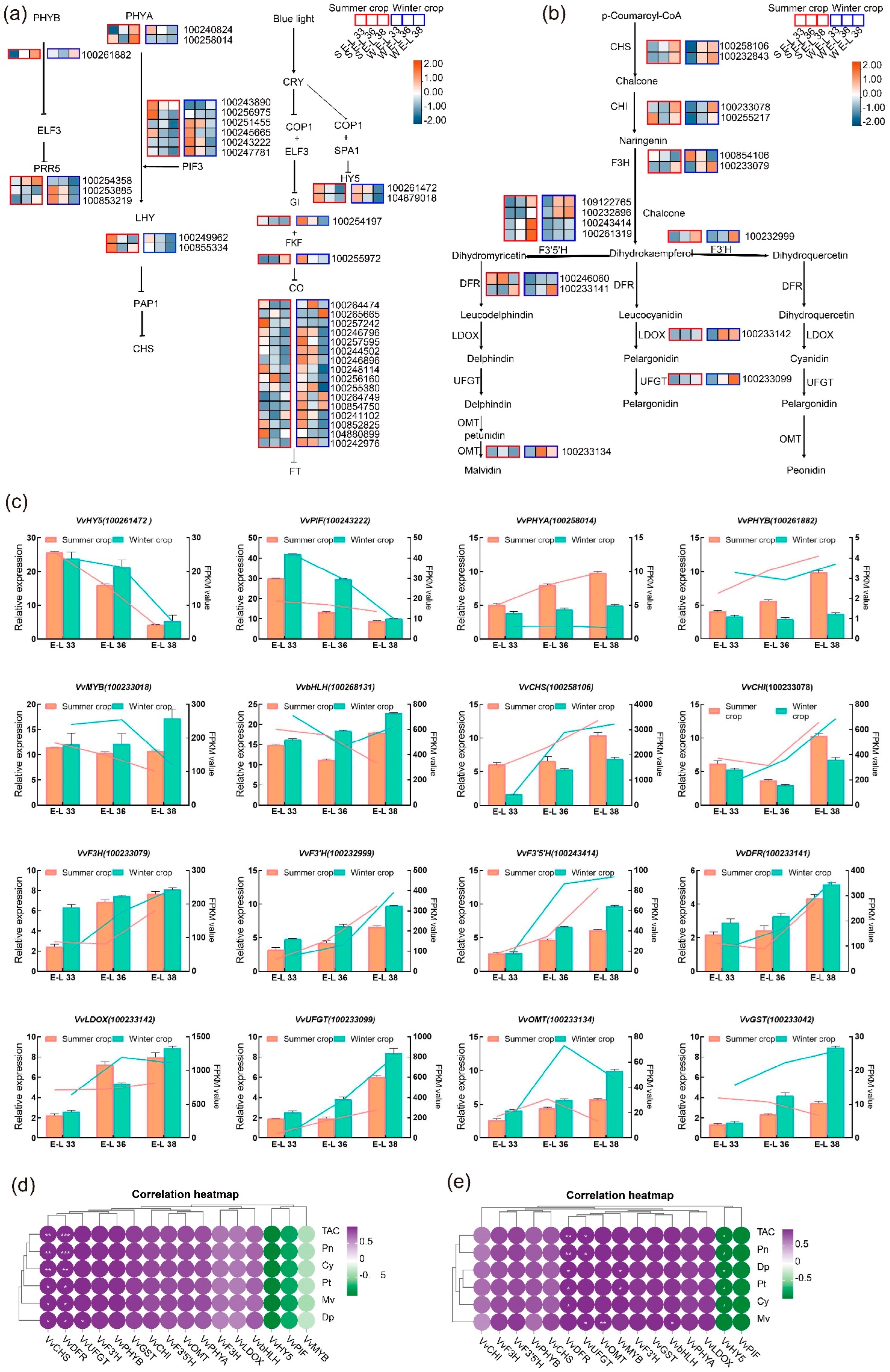 Plants 14 00026 g004