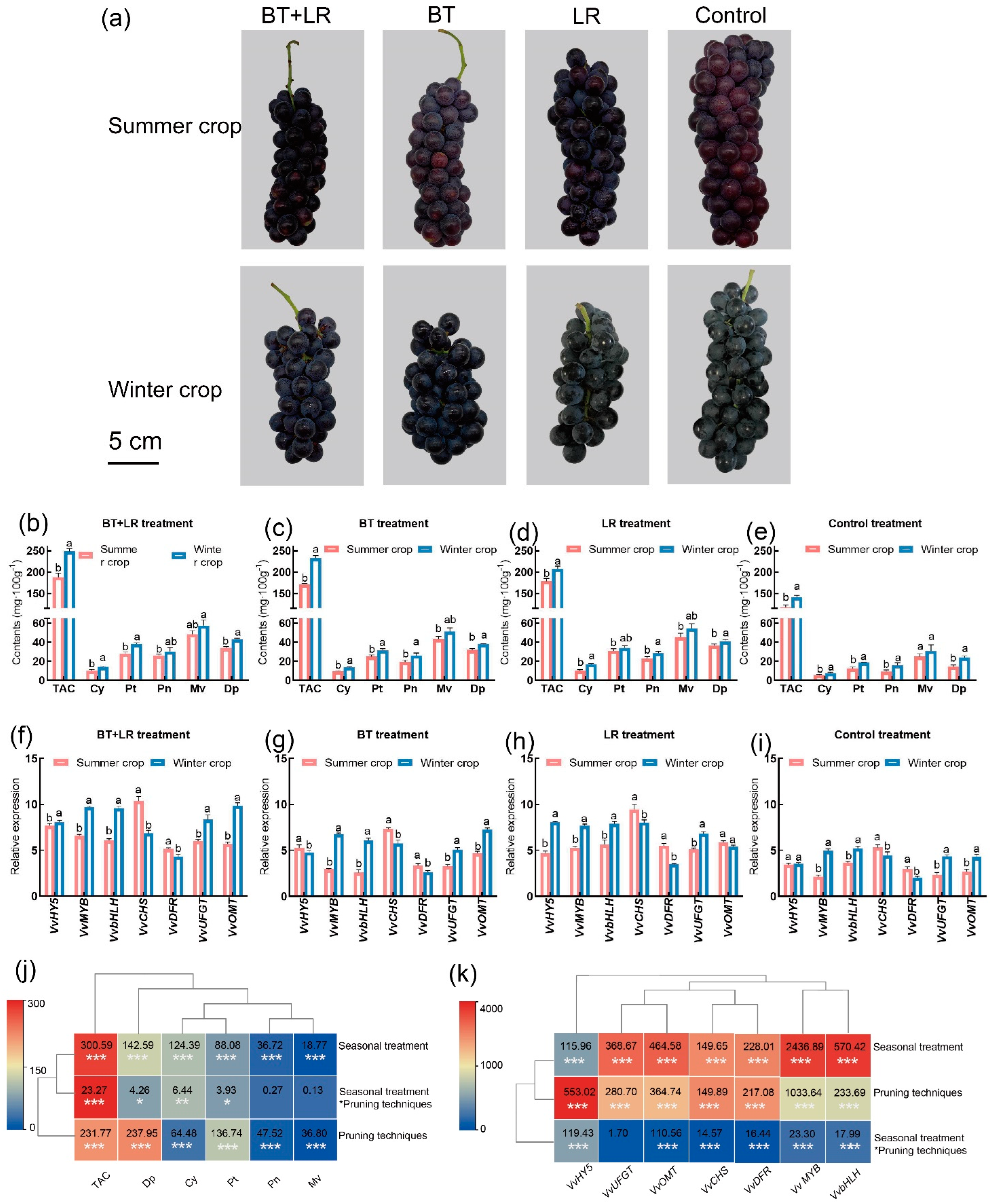 Plants 14 00026 g005