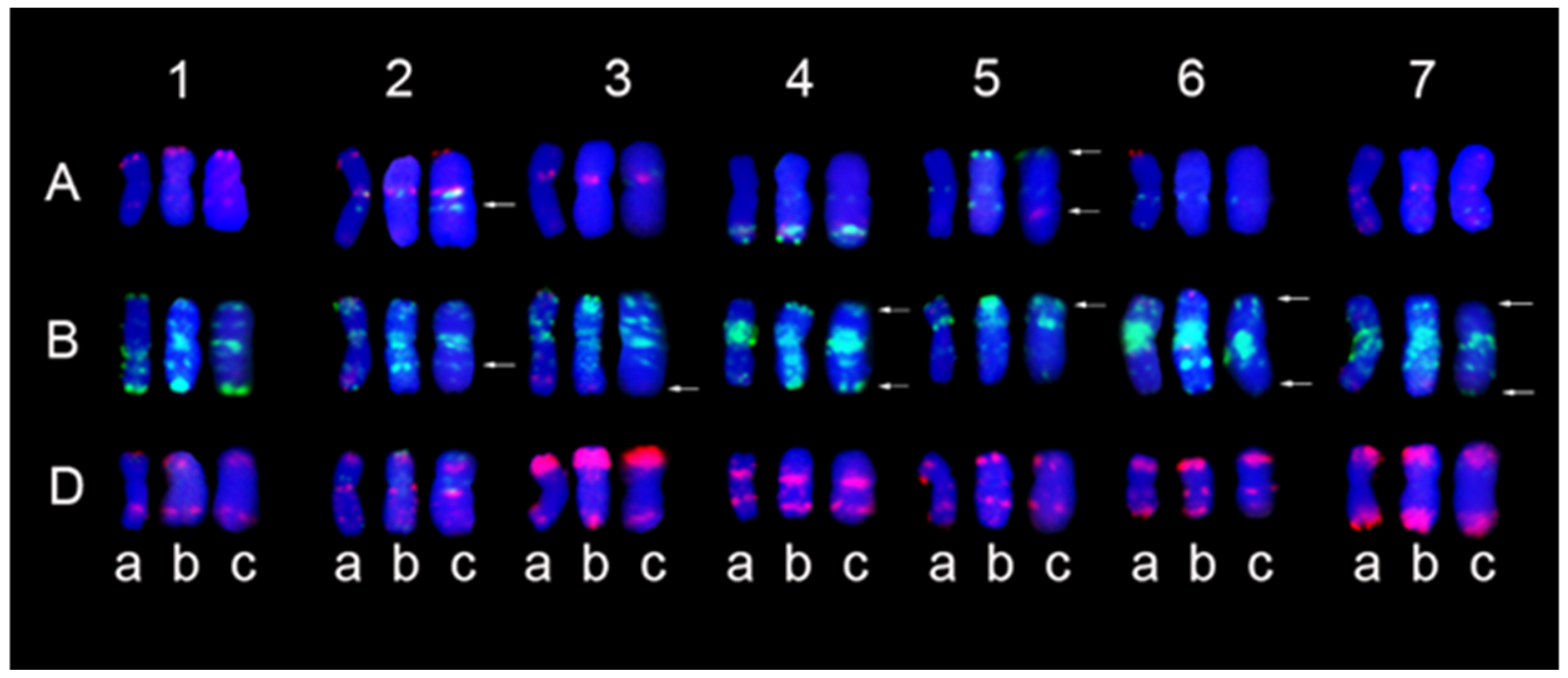 Plants 14 00027 g003