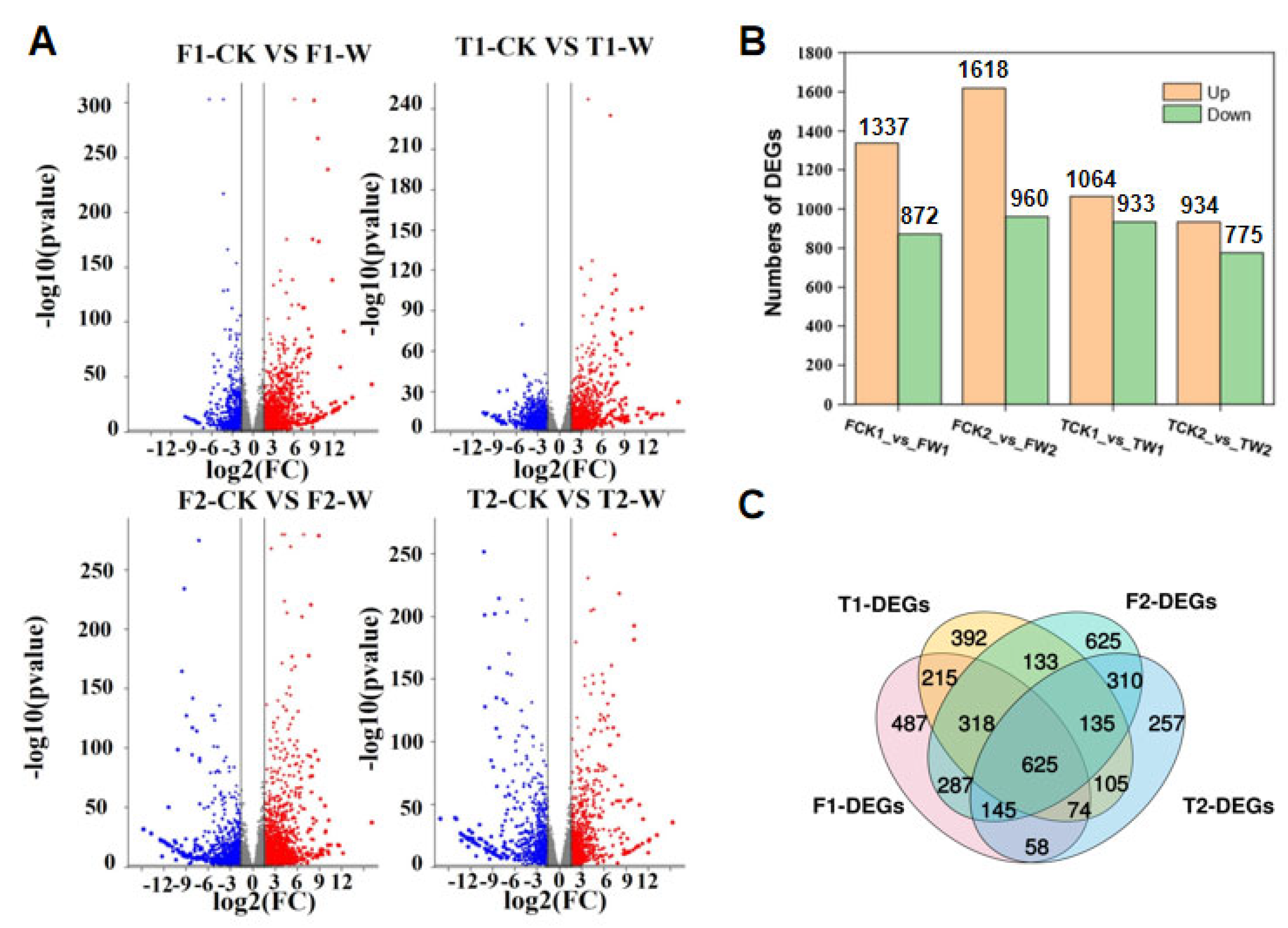 Plants 14 00028 g002
