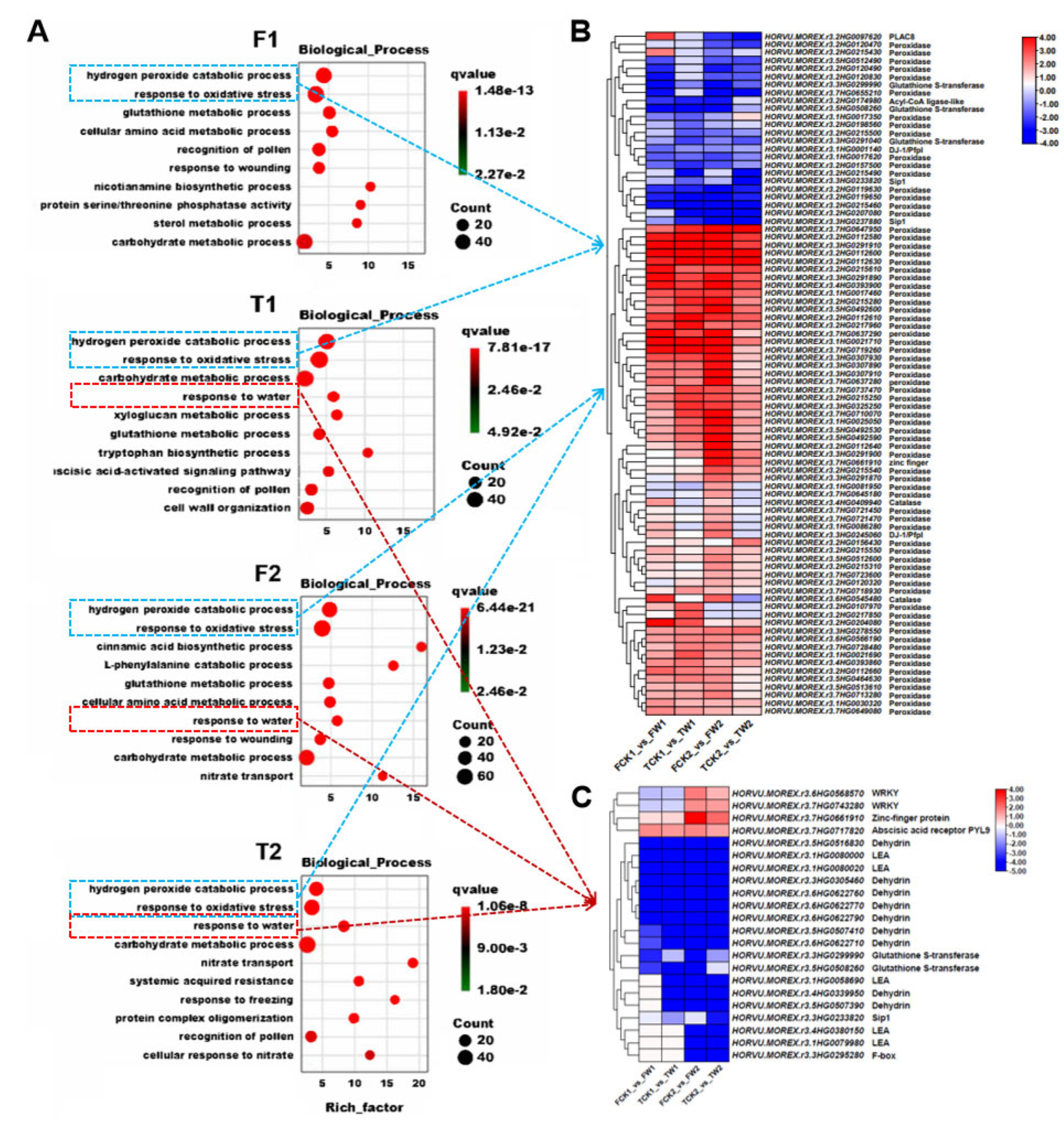 Plants 14 00028 g003