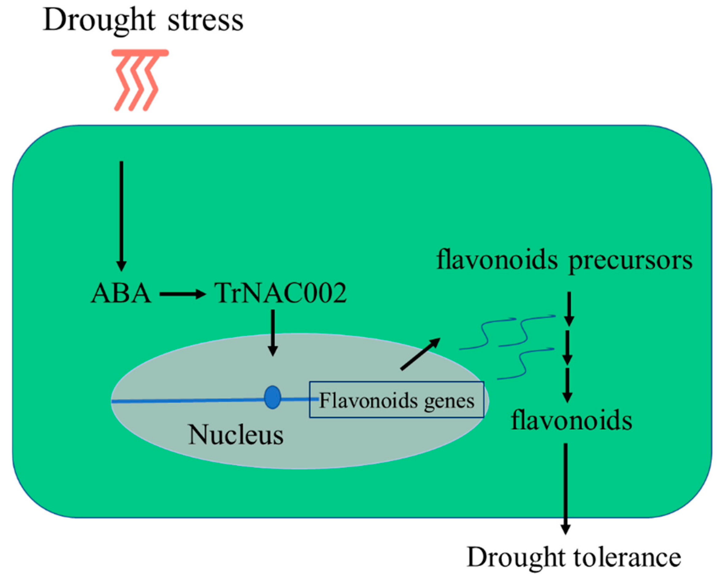 Plants 14 00031 g008