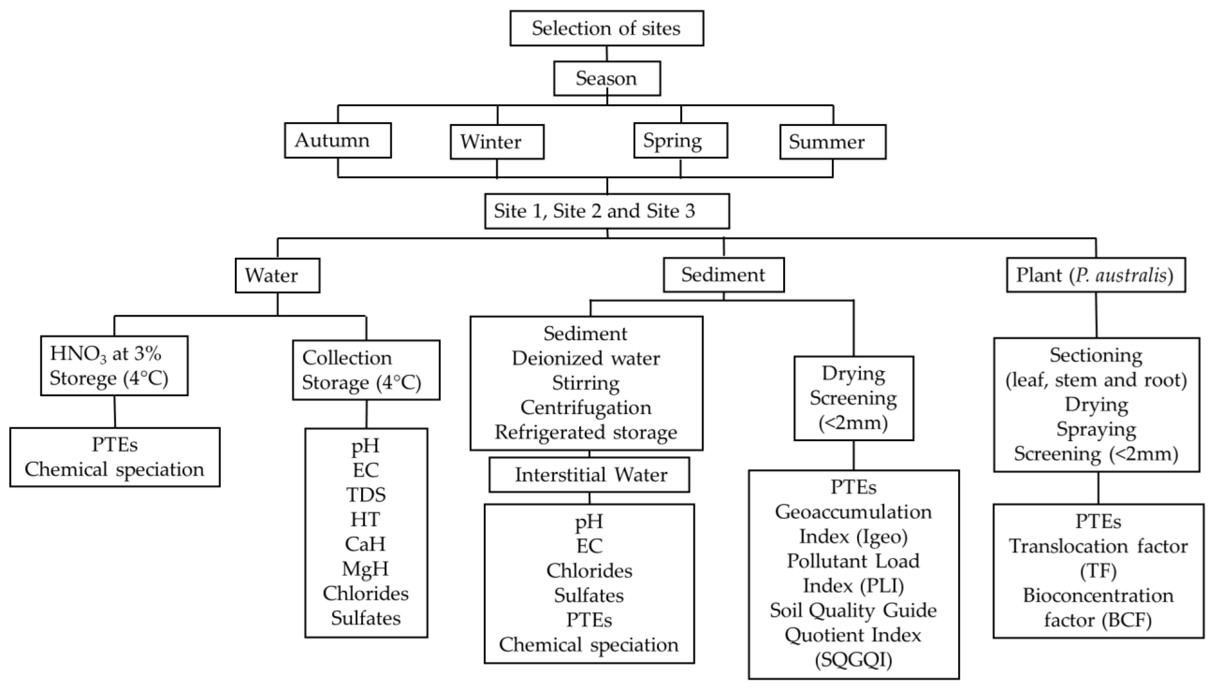 Plants 14 00033 g001