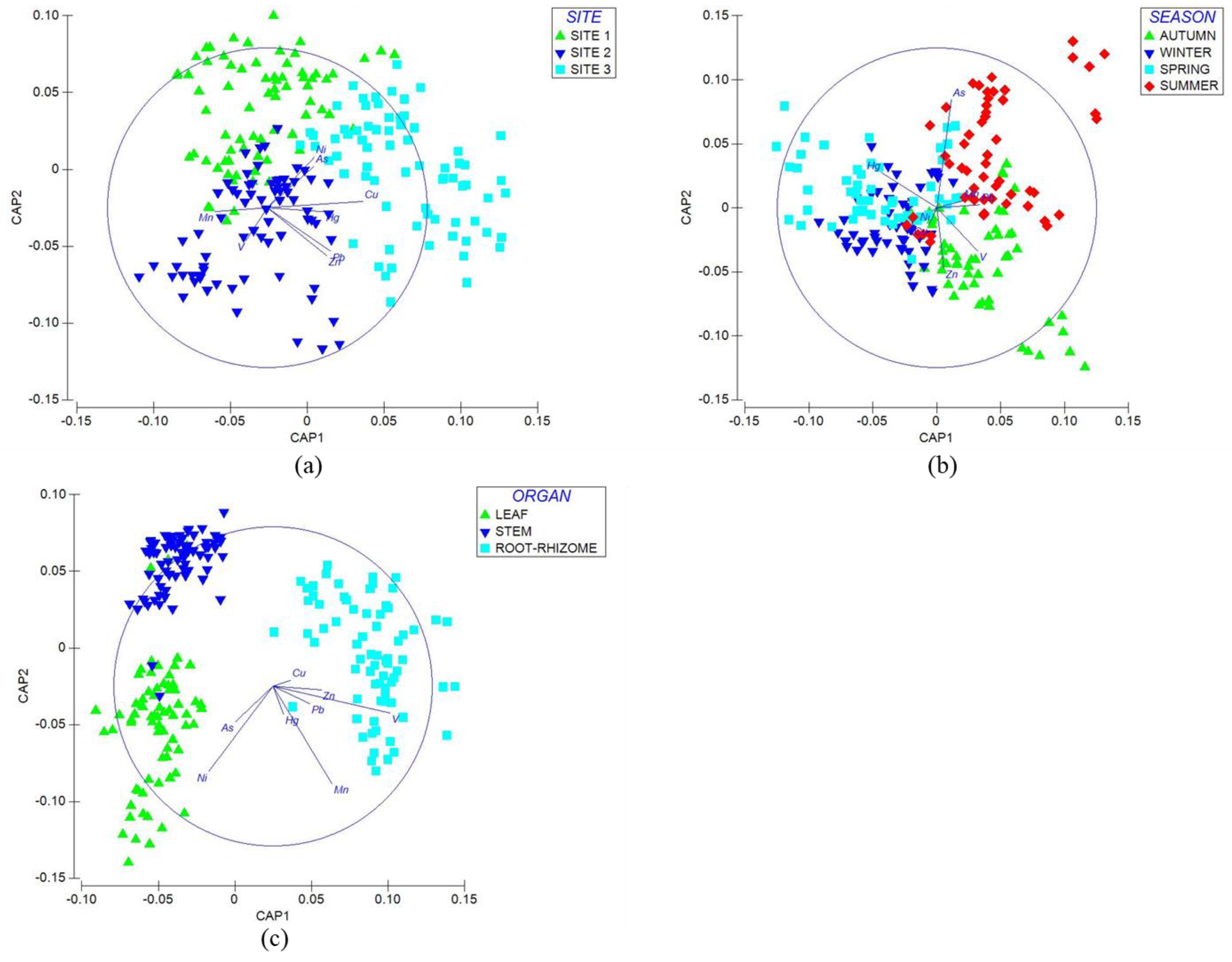 Plants 14 00033 g007