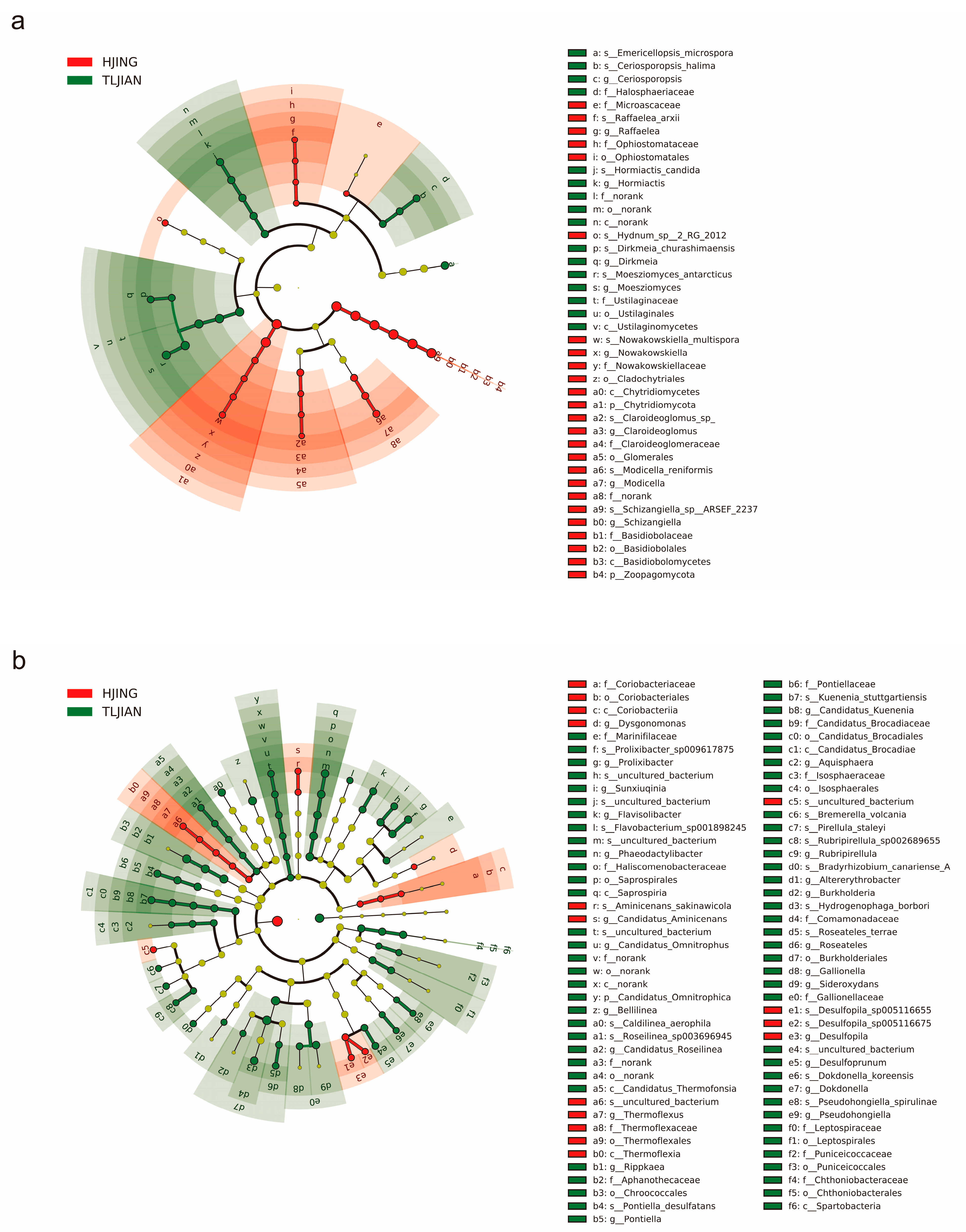 Plants 14 00036 g002