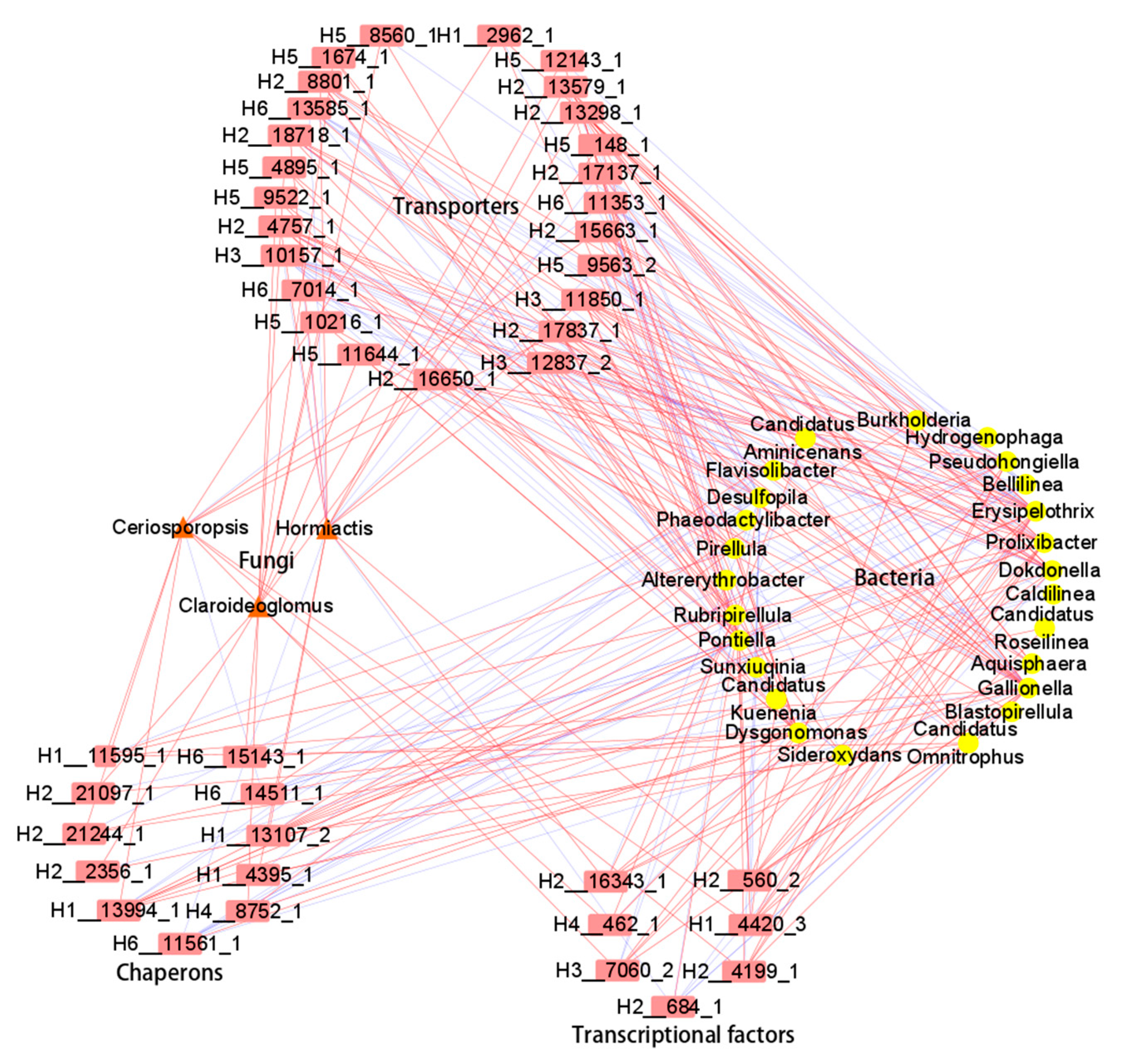 Plants 14 00036 g004