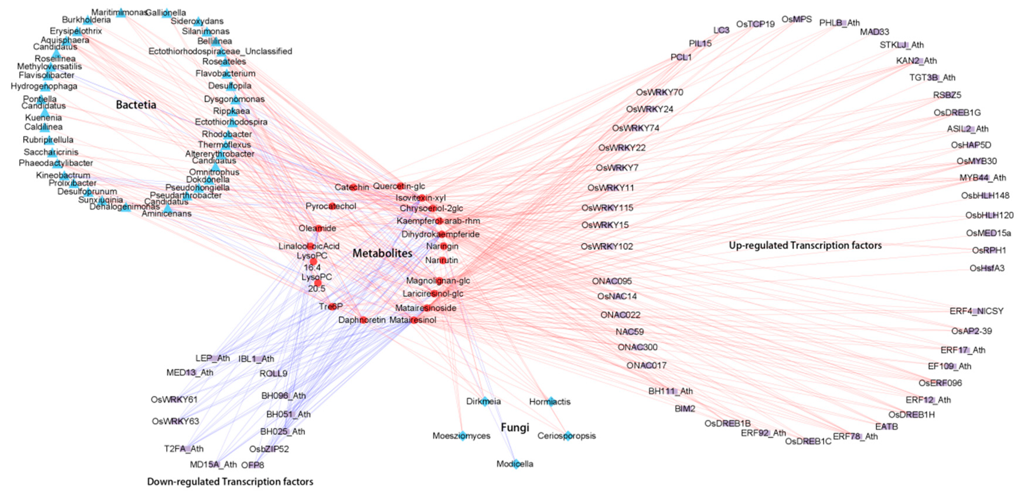 Plants 14 00036 g005