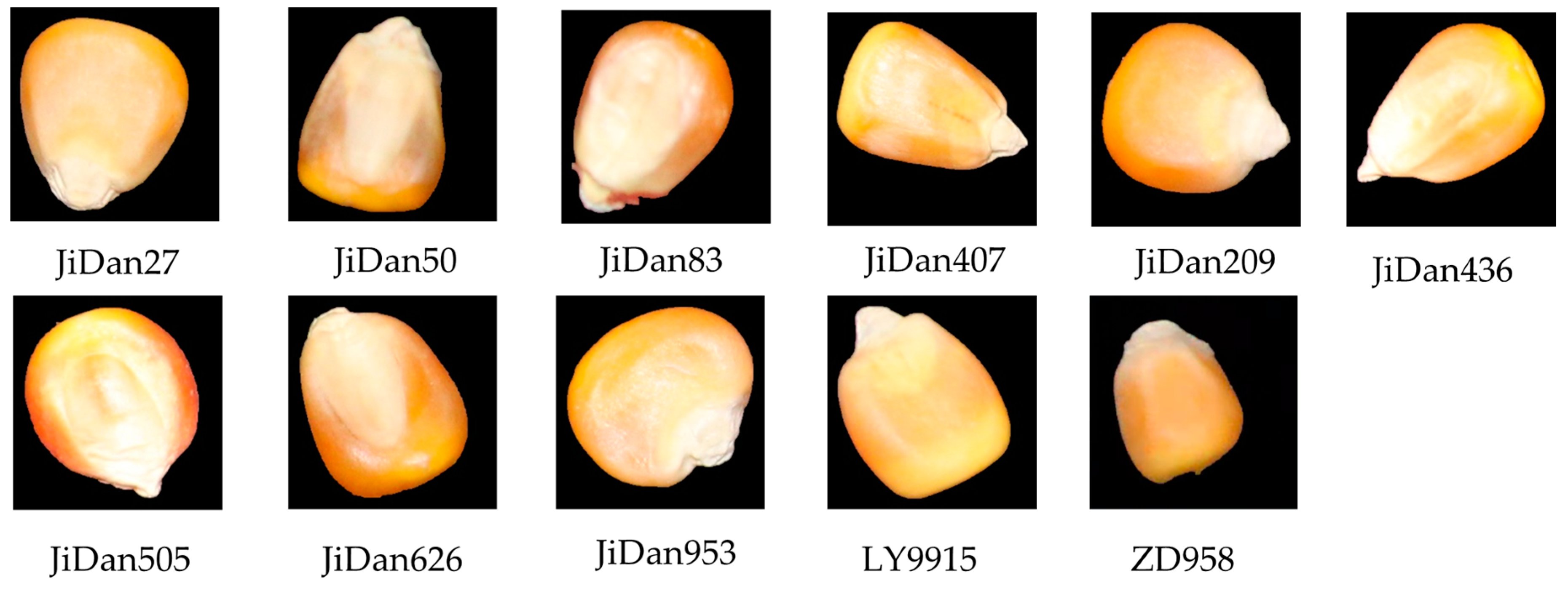 Plants 14 00037 g001