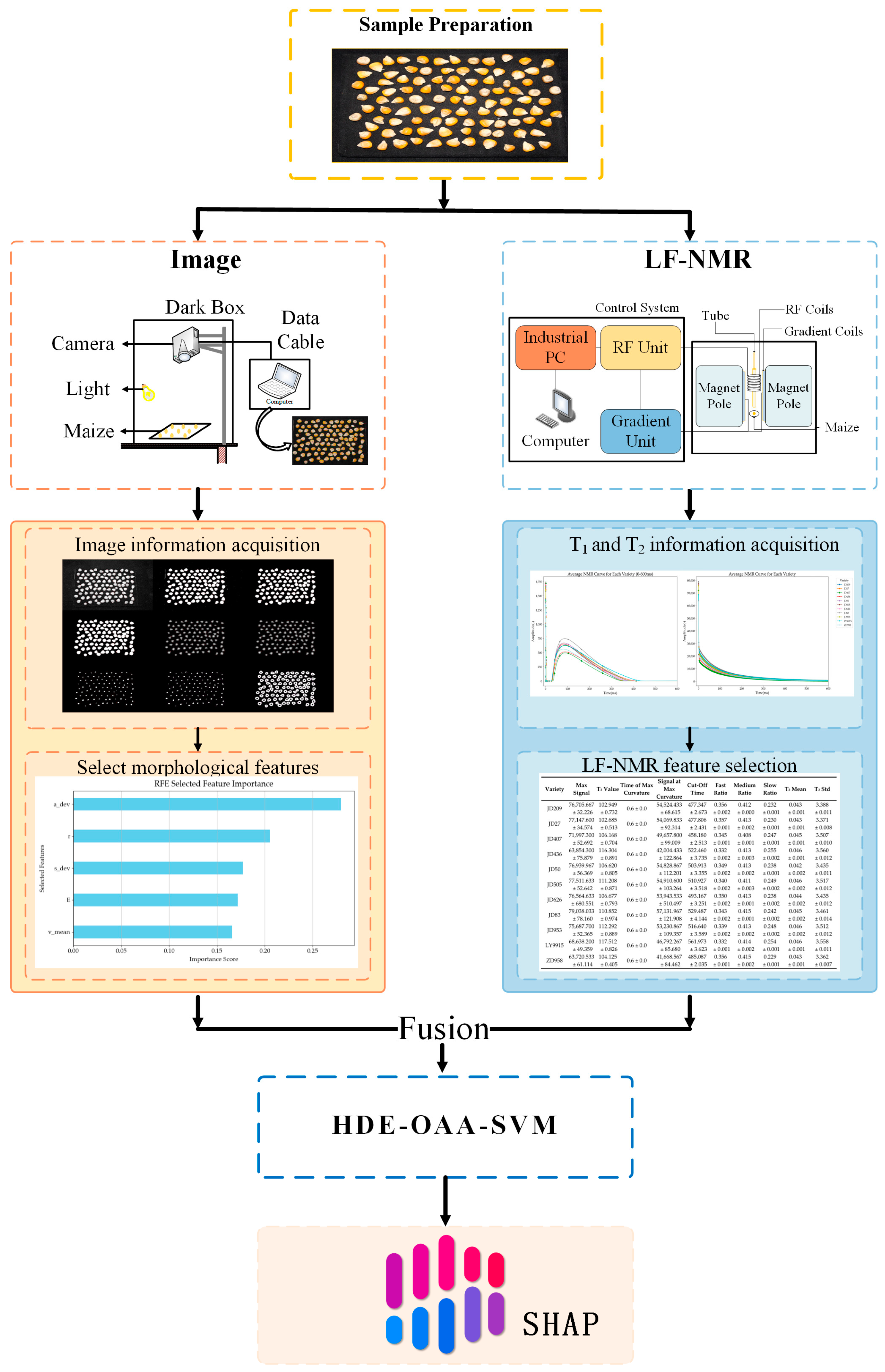 Plants 14 00037 g003