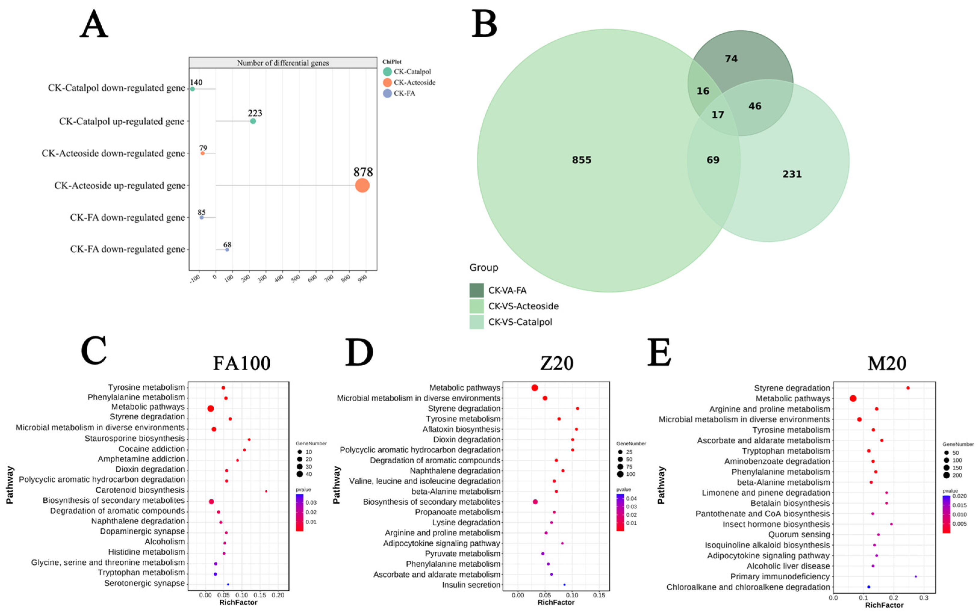 Plants 14 00038 g003