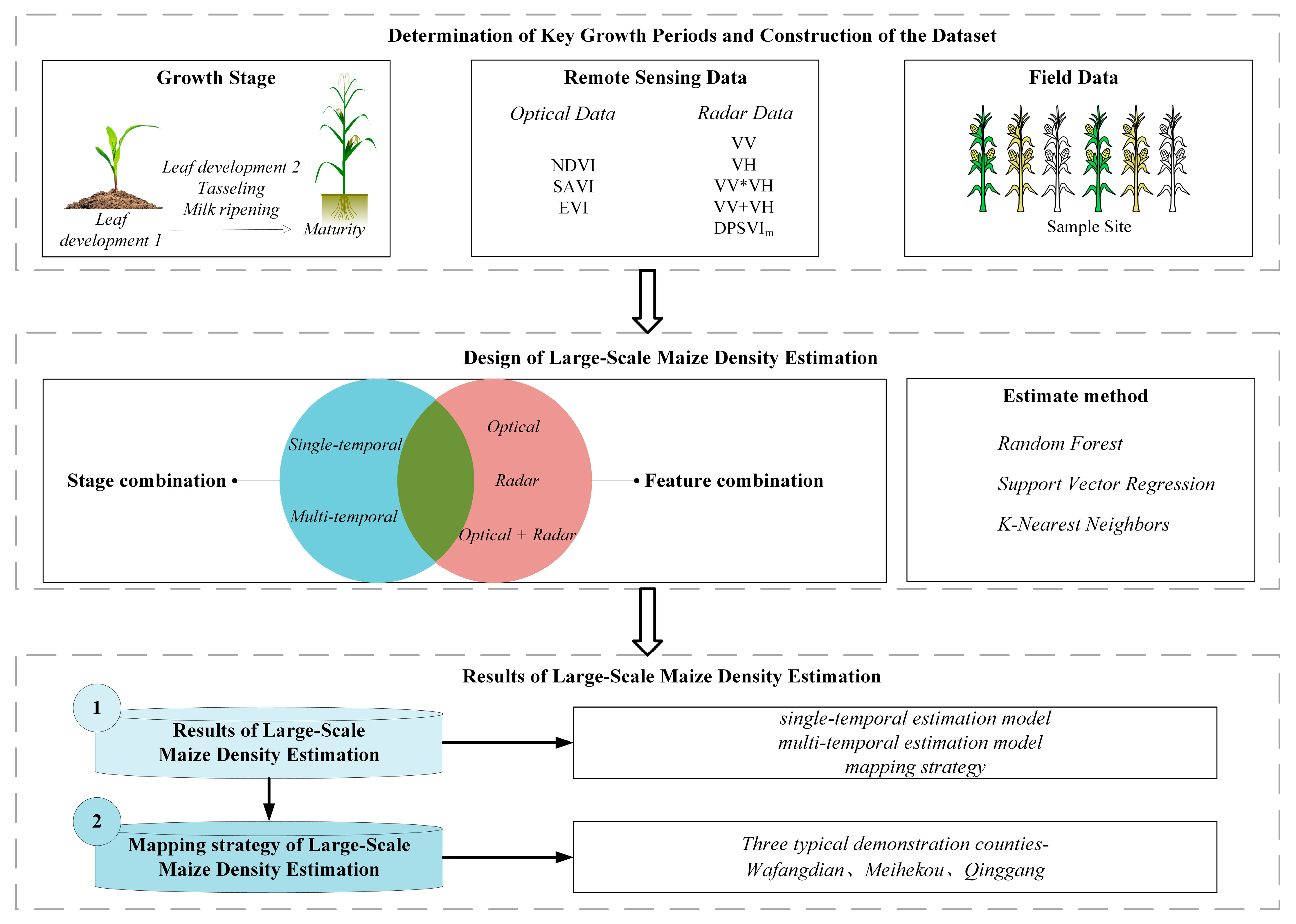 Plants 14 00039 g006